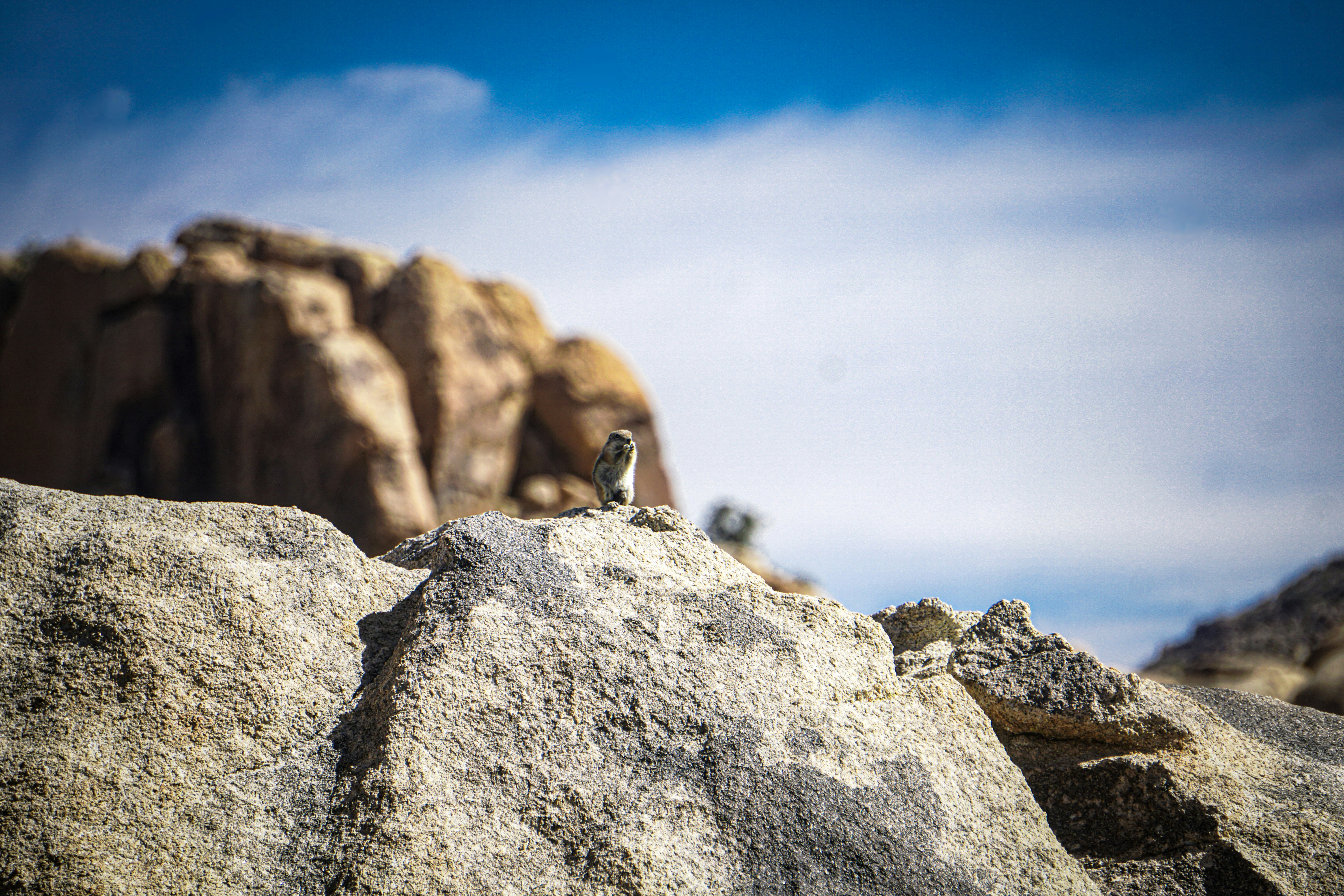 Photo by pmayorphotos