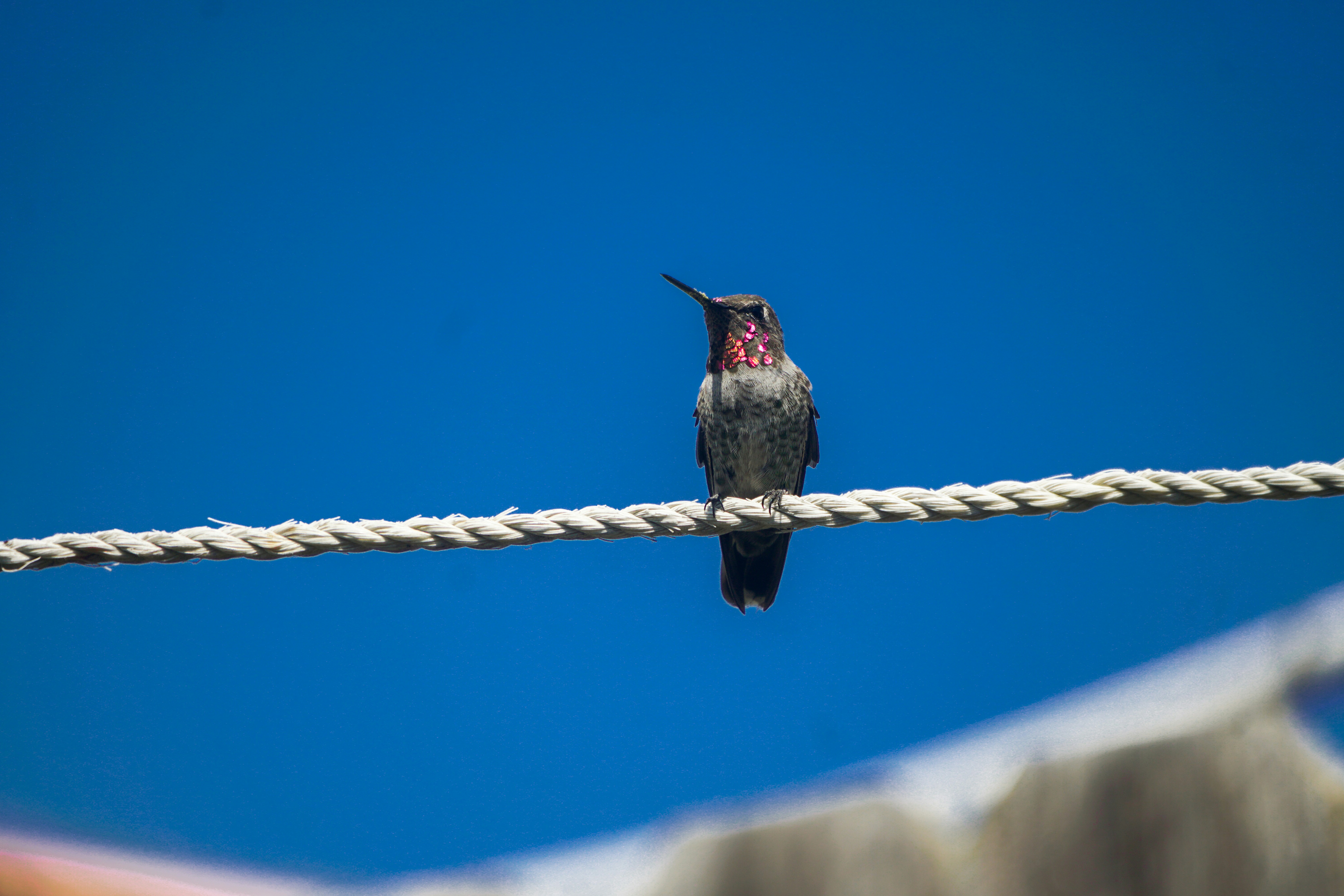 Photo by pmayorphotos