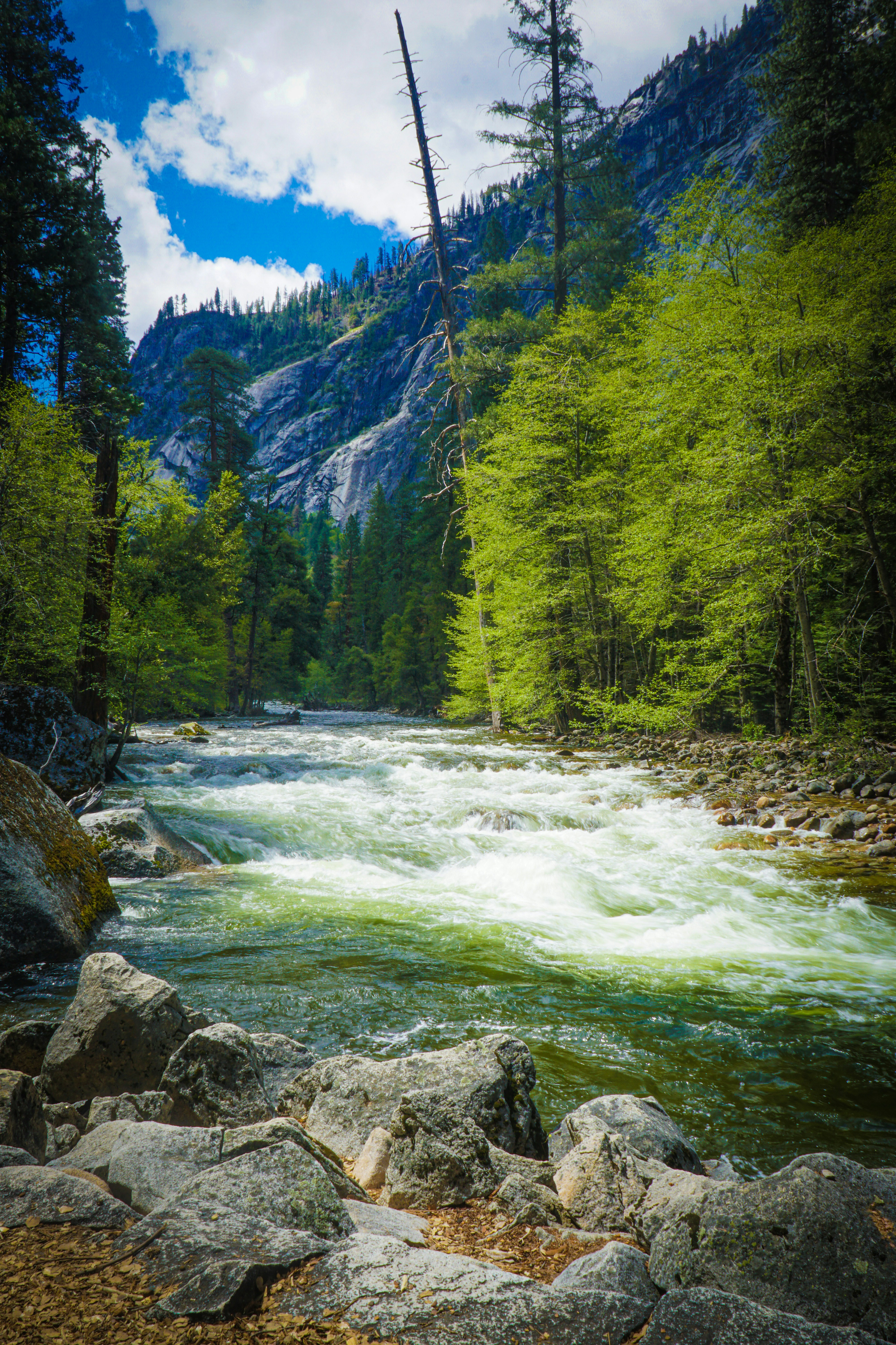 Photo by pmayorphotos