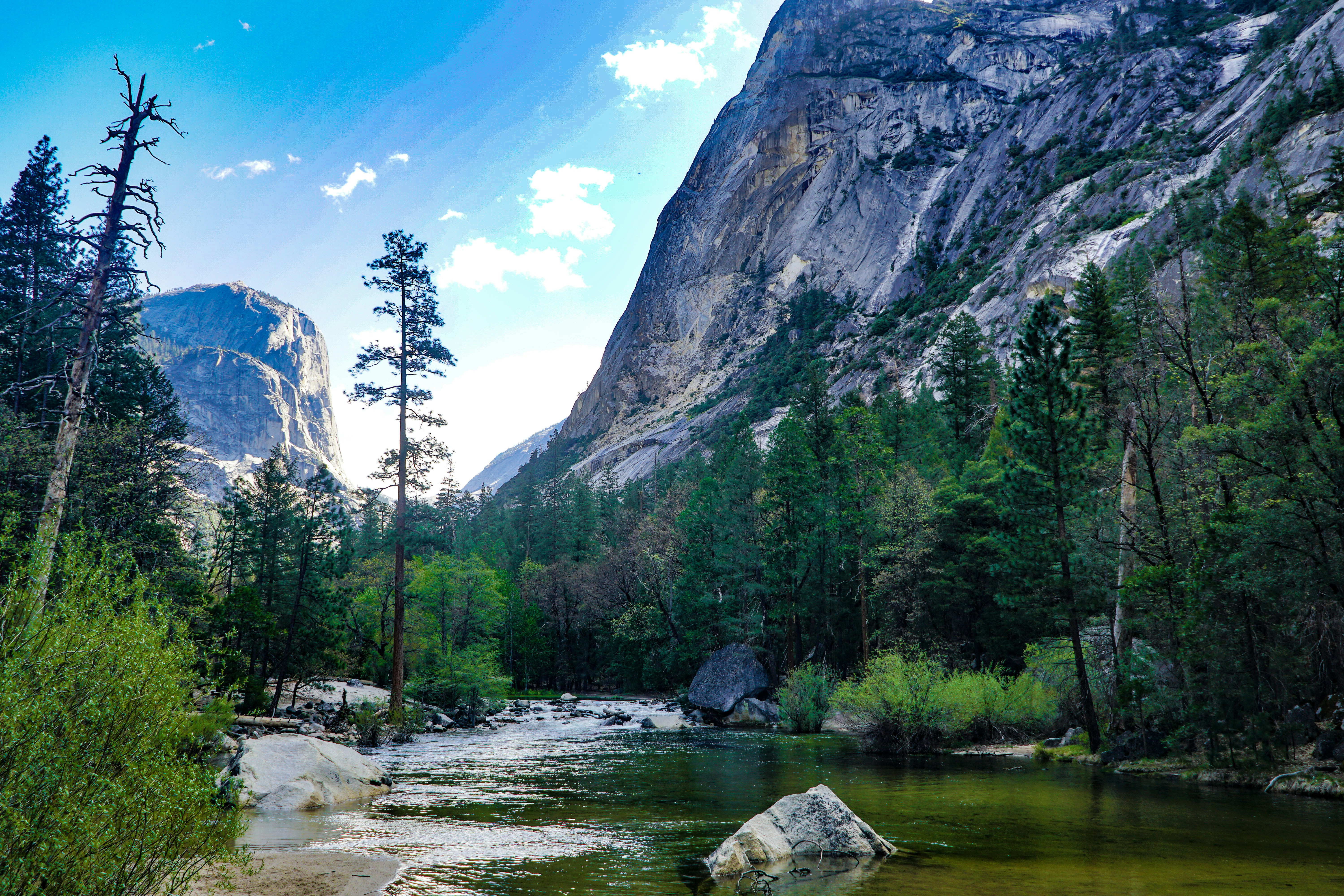 Photo by pmayorphotos