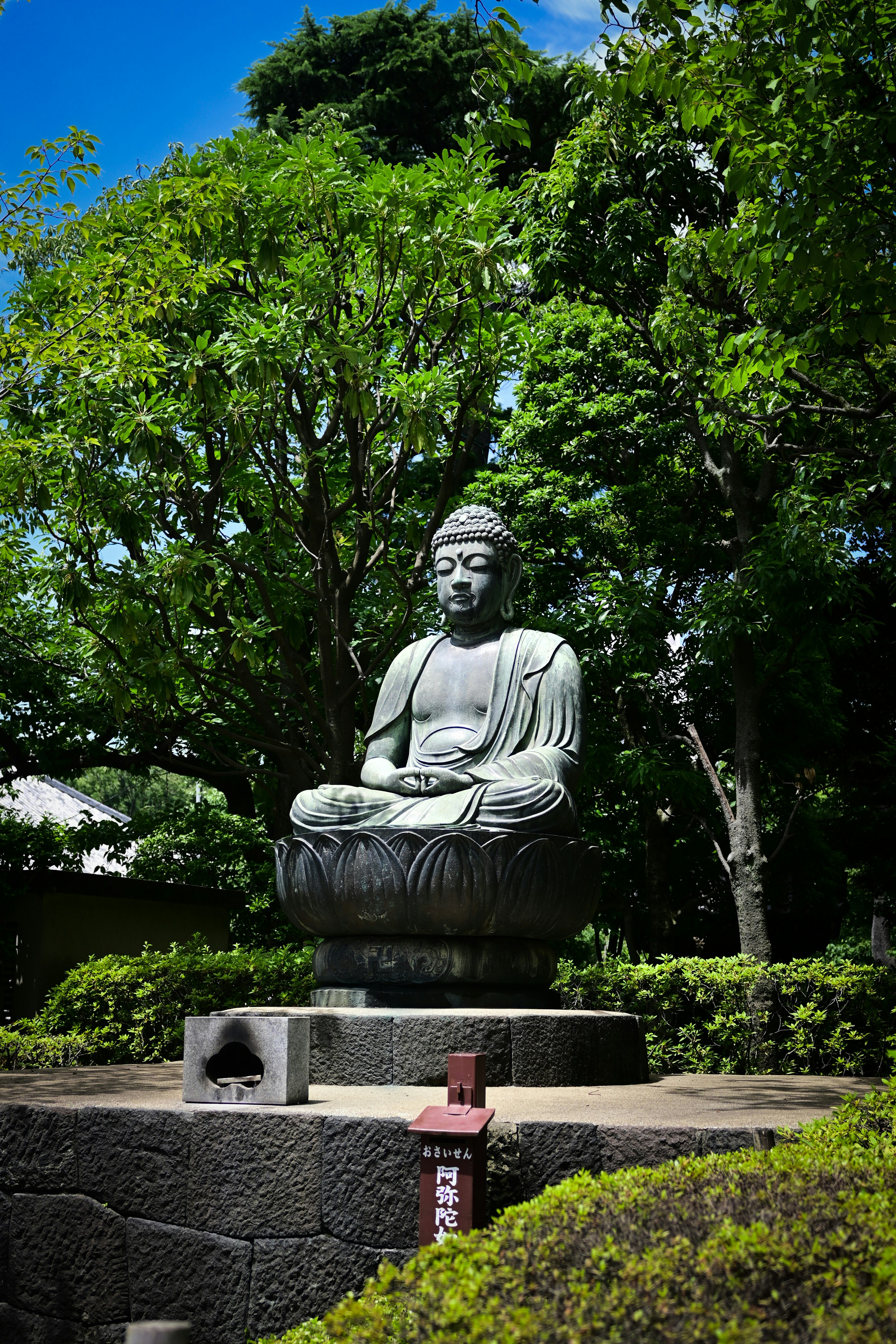 Photo by novel2199