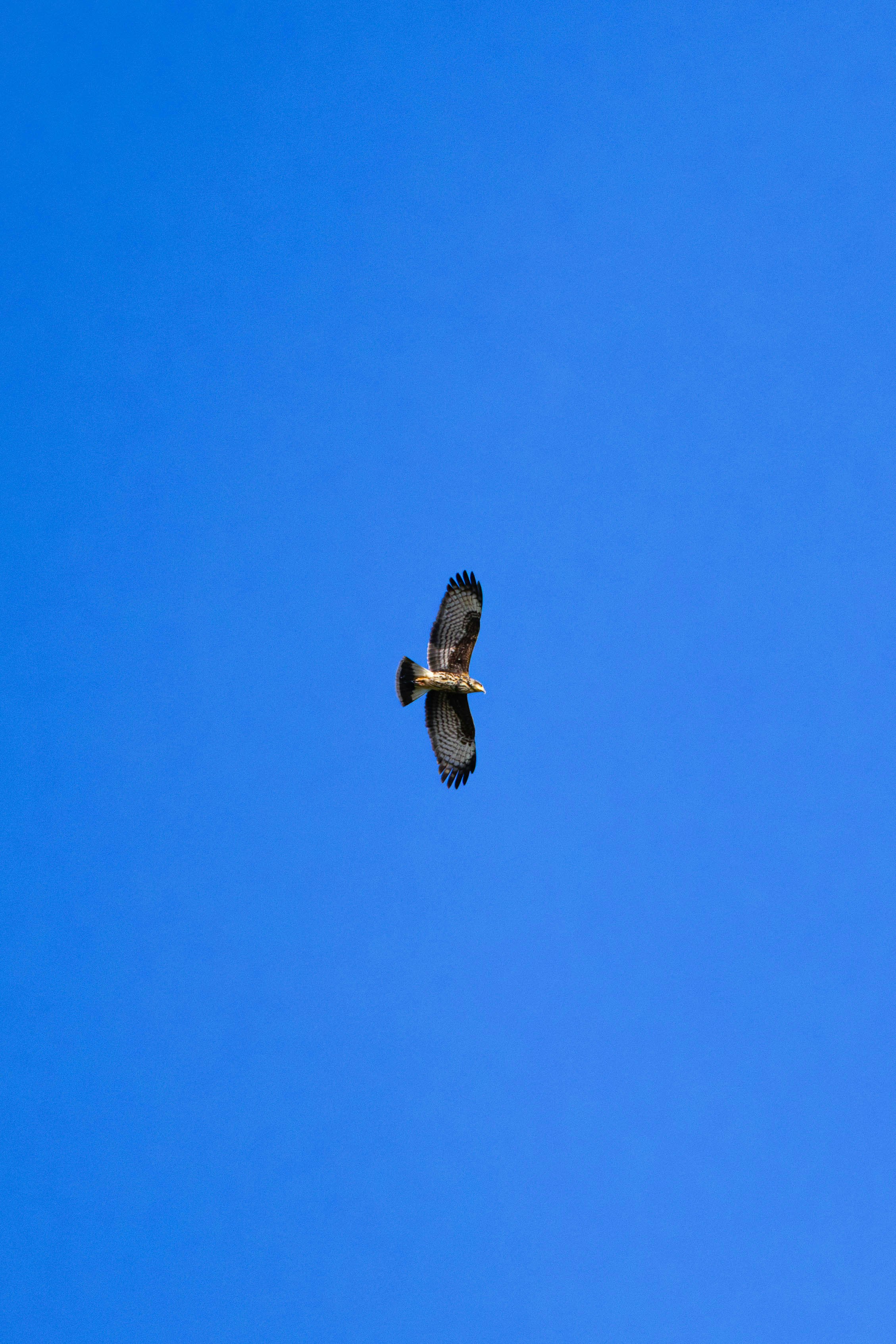 Photo by matheuskprot