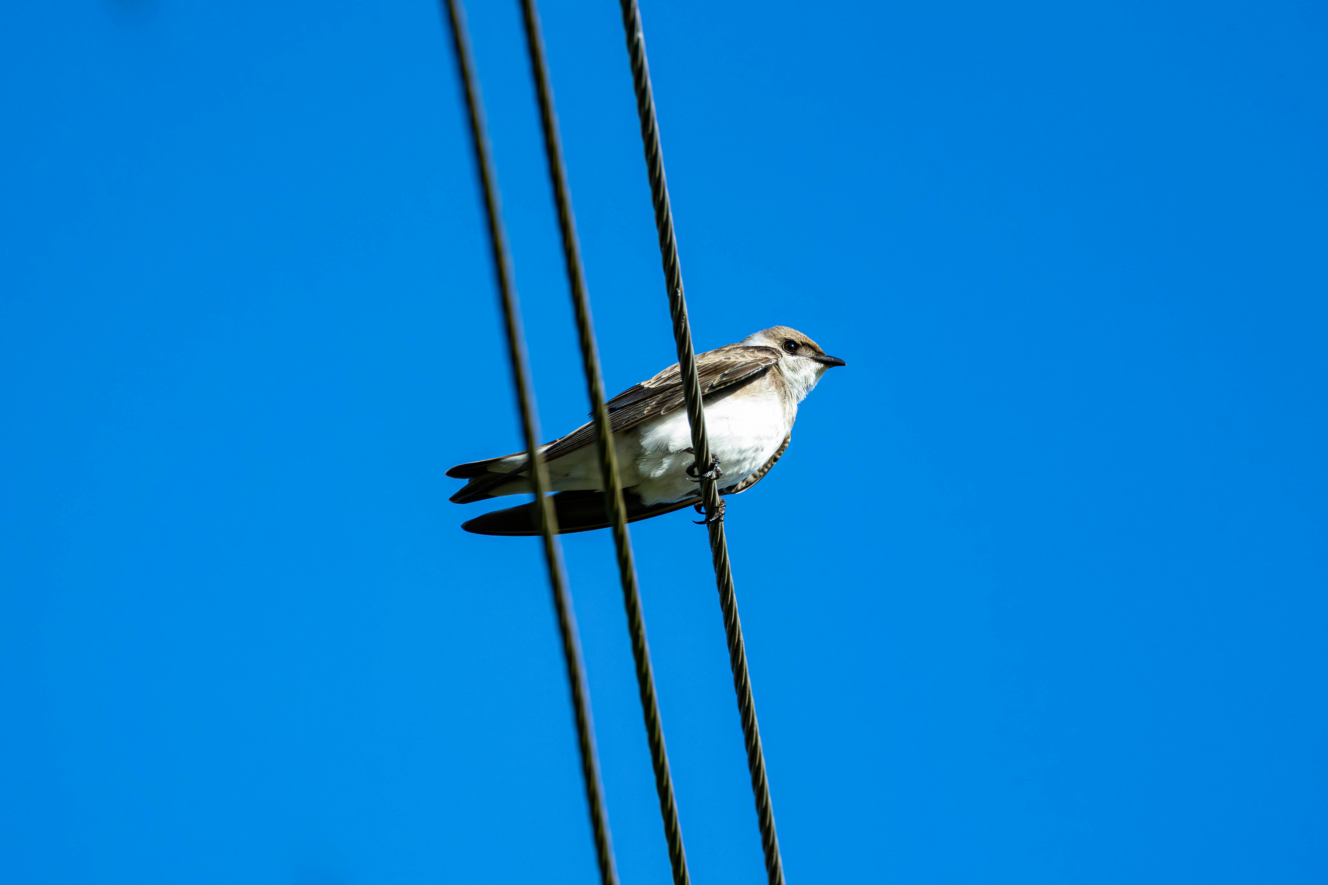 Photo by matheuskprot
