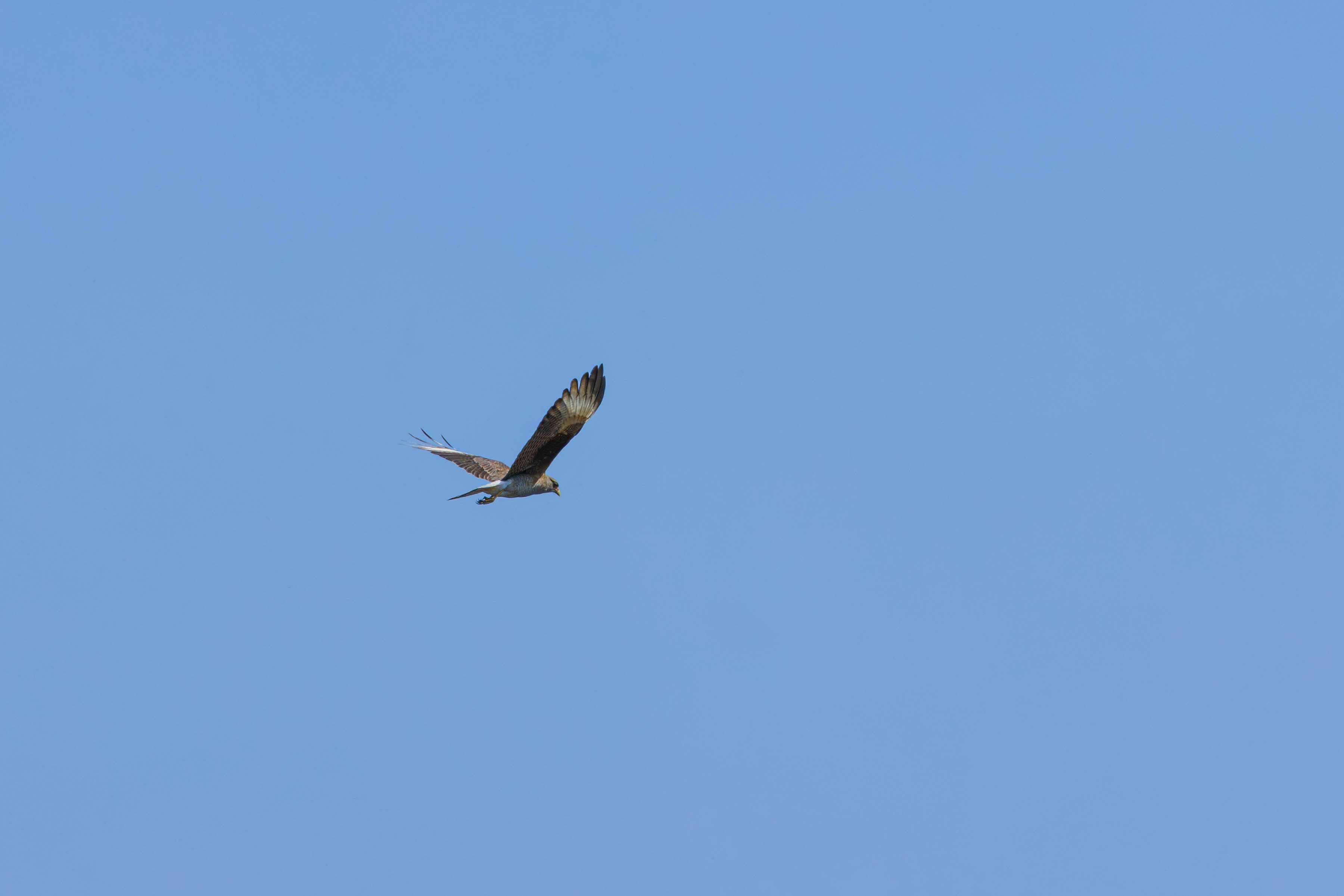 Photo by matheuskprot