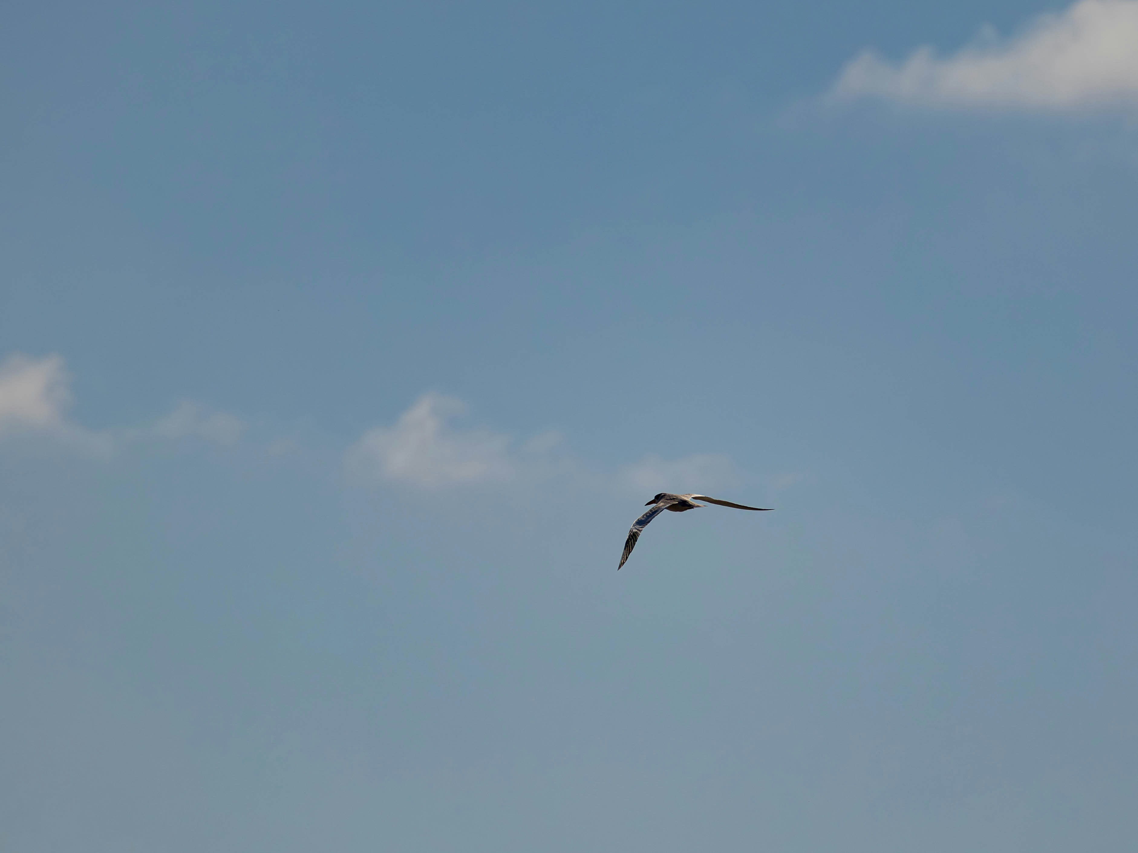 Photo by matheuskprot