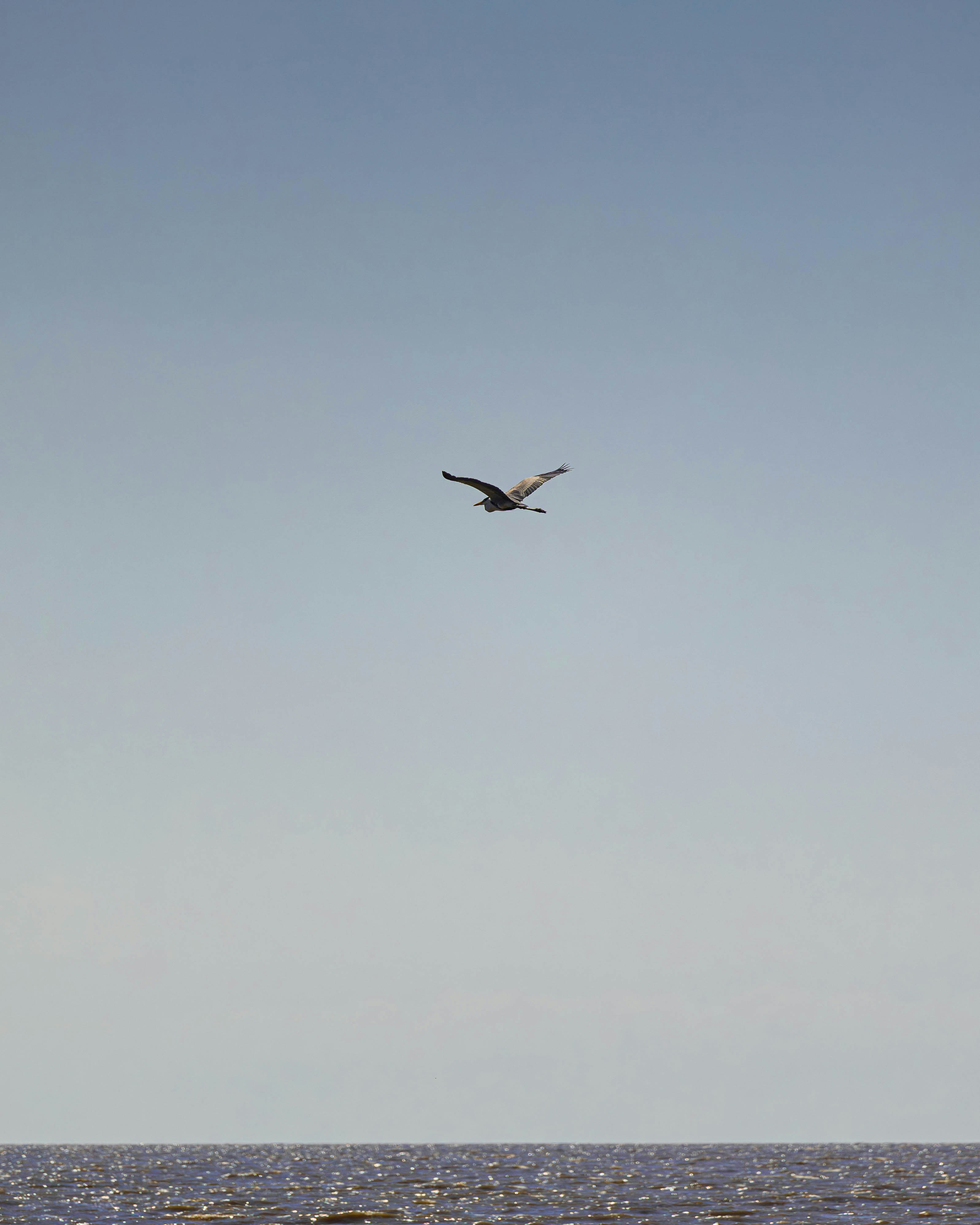 Photo by matheuskprot