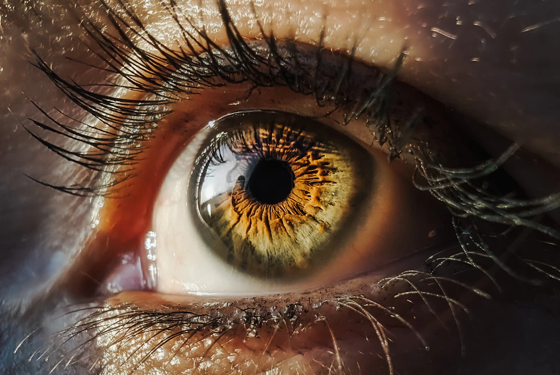 Nahaufnahme von Wimpern