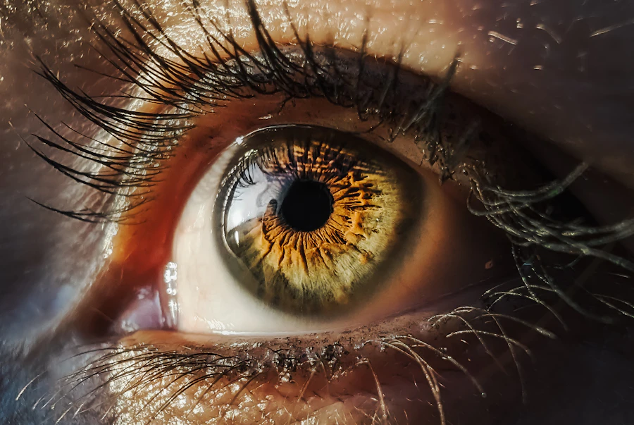 Wimpern im Detail