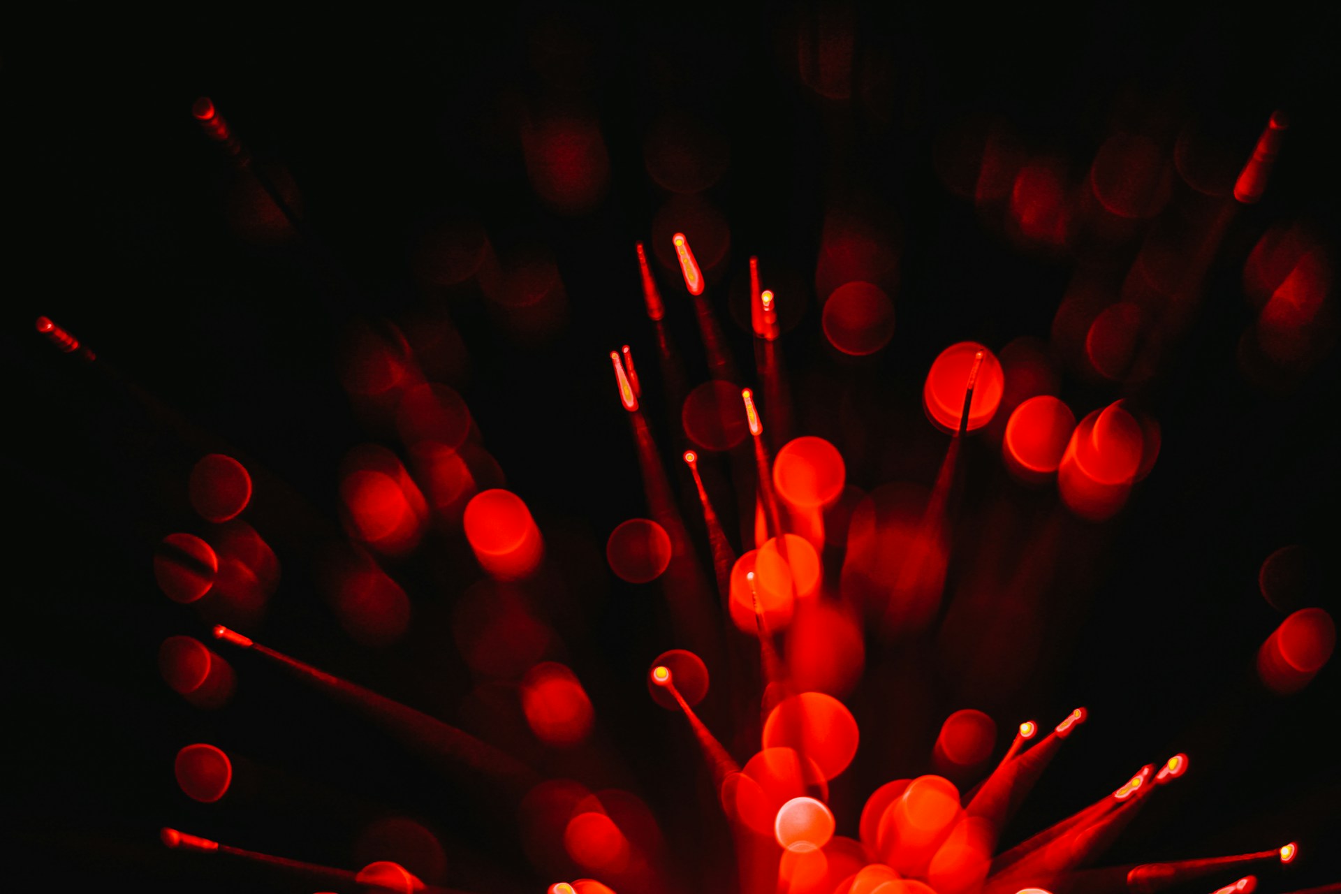 A close up of a red firework on a black background