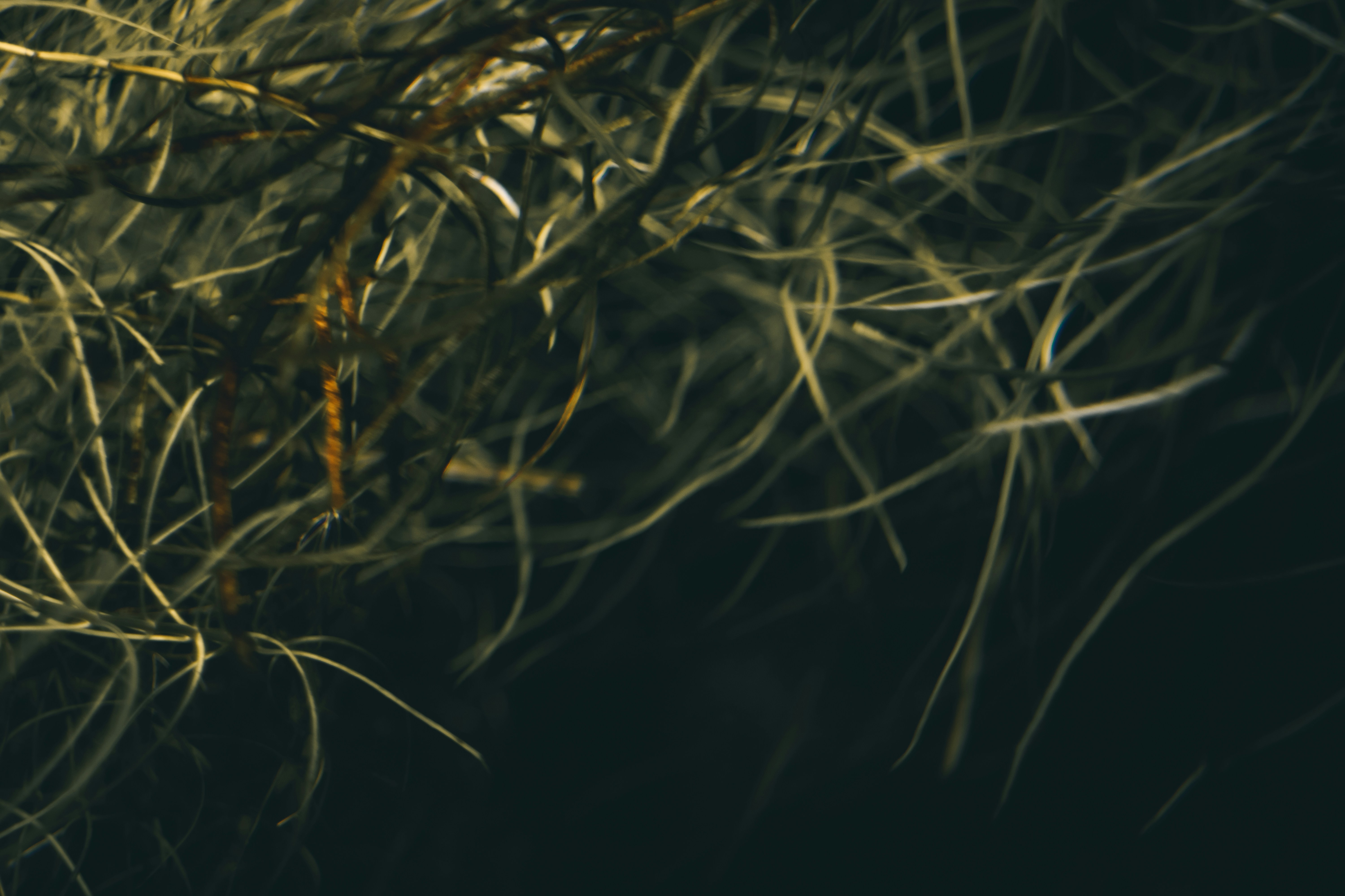 Photo by mineral_of_demon