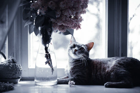 A cat laying on the floor next to a vase of flowers