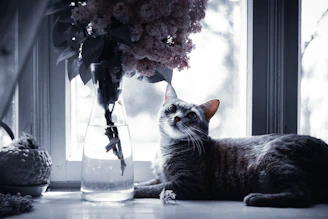 A cat laying on the floor next to a vase of flowers