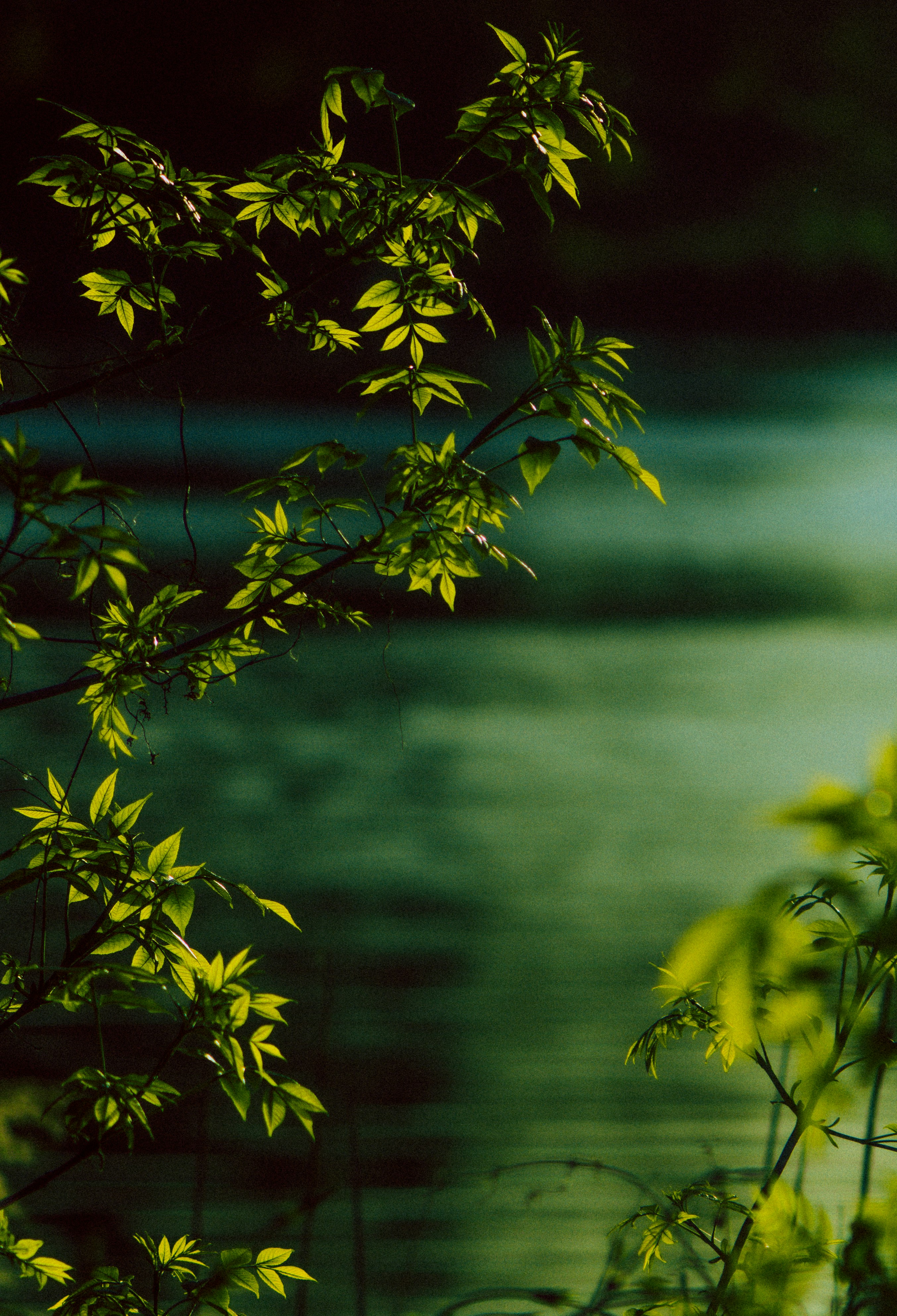 Photo by mineral_of_demon