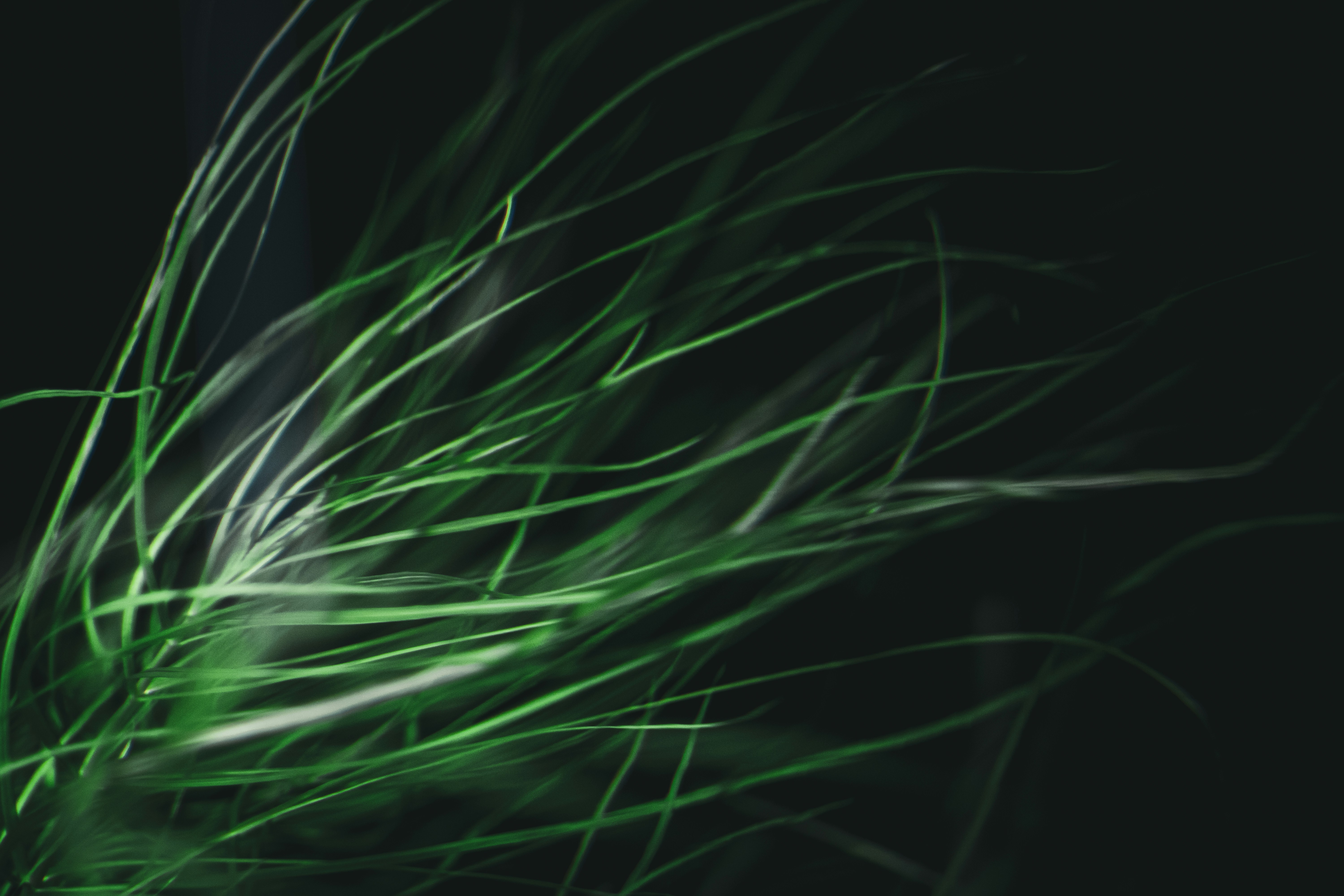 Photo by mineral_of_demon