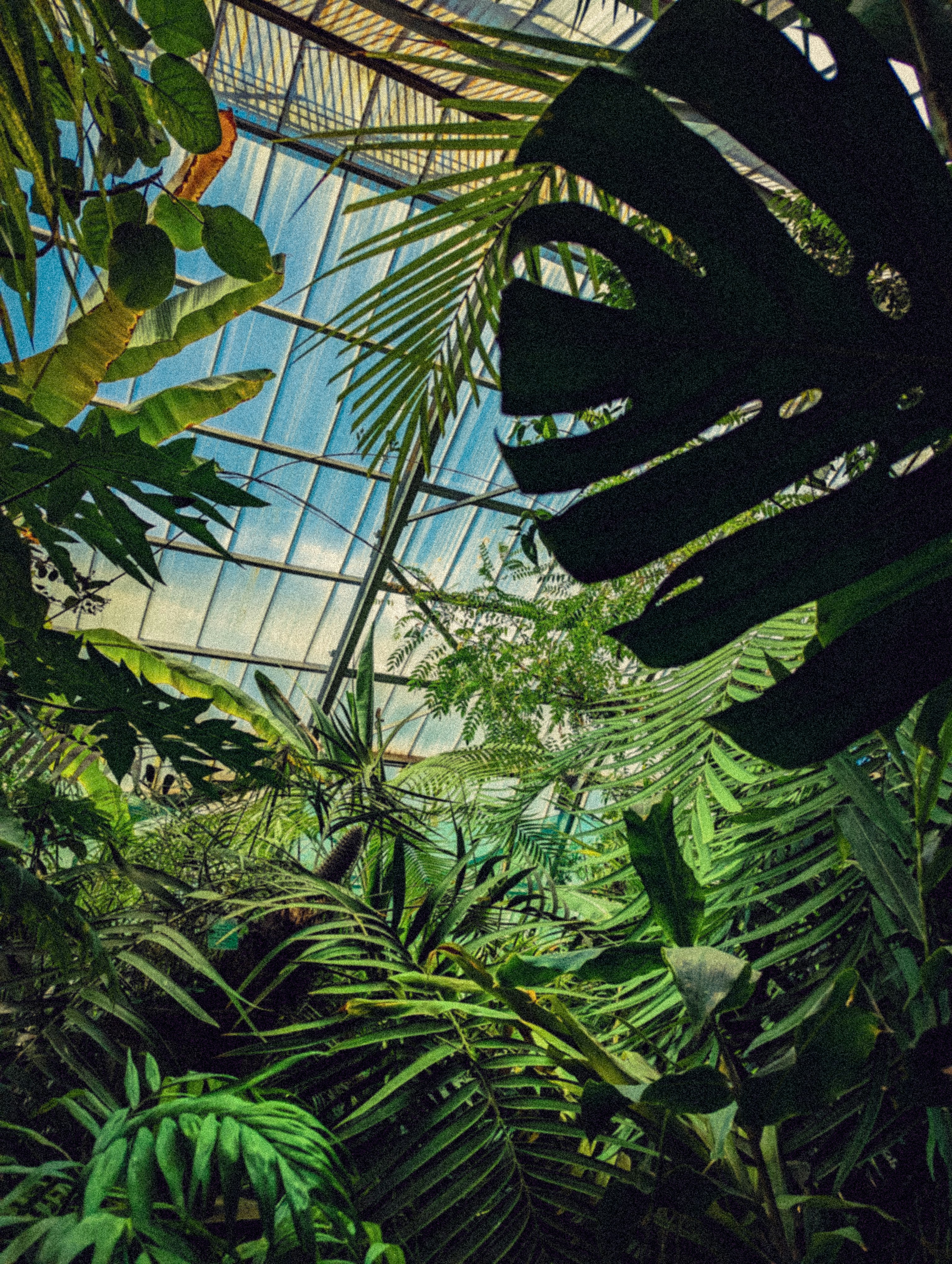 Photo by mineral_of_demon