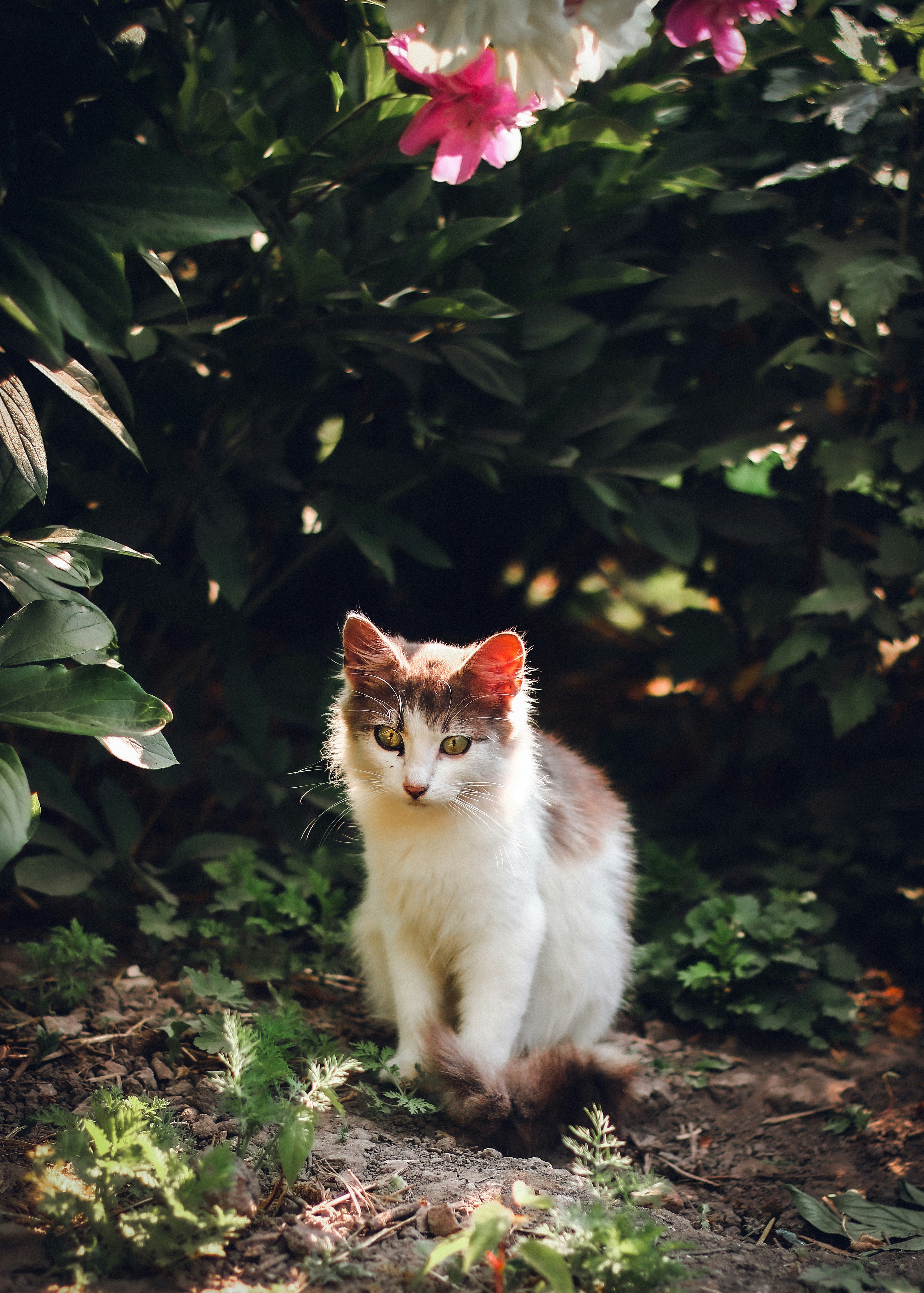 Photo by mineral_of_demon