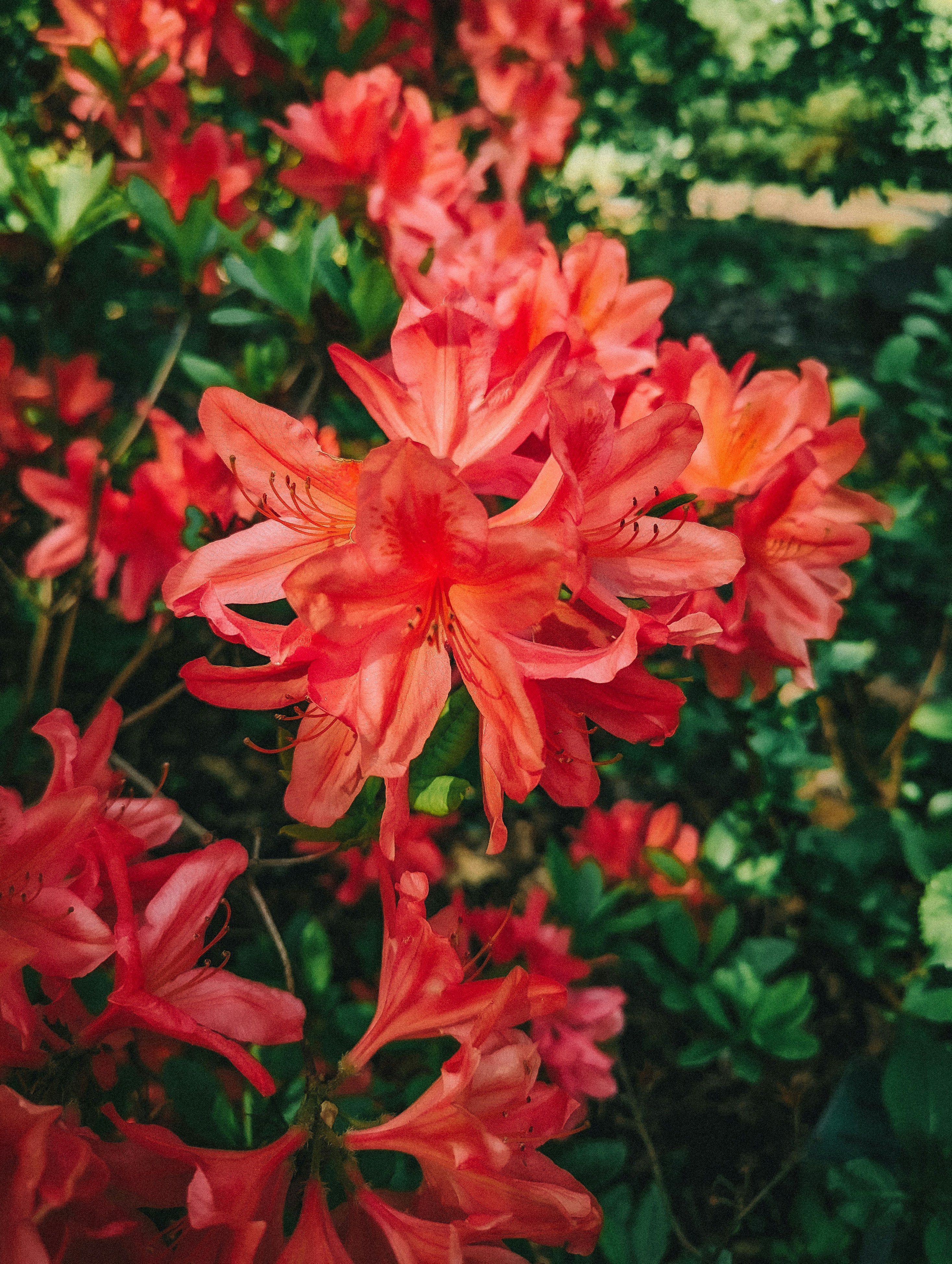 Photo by mineral_of_demon