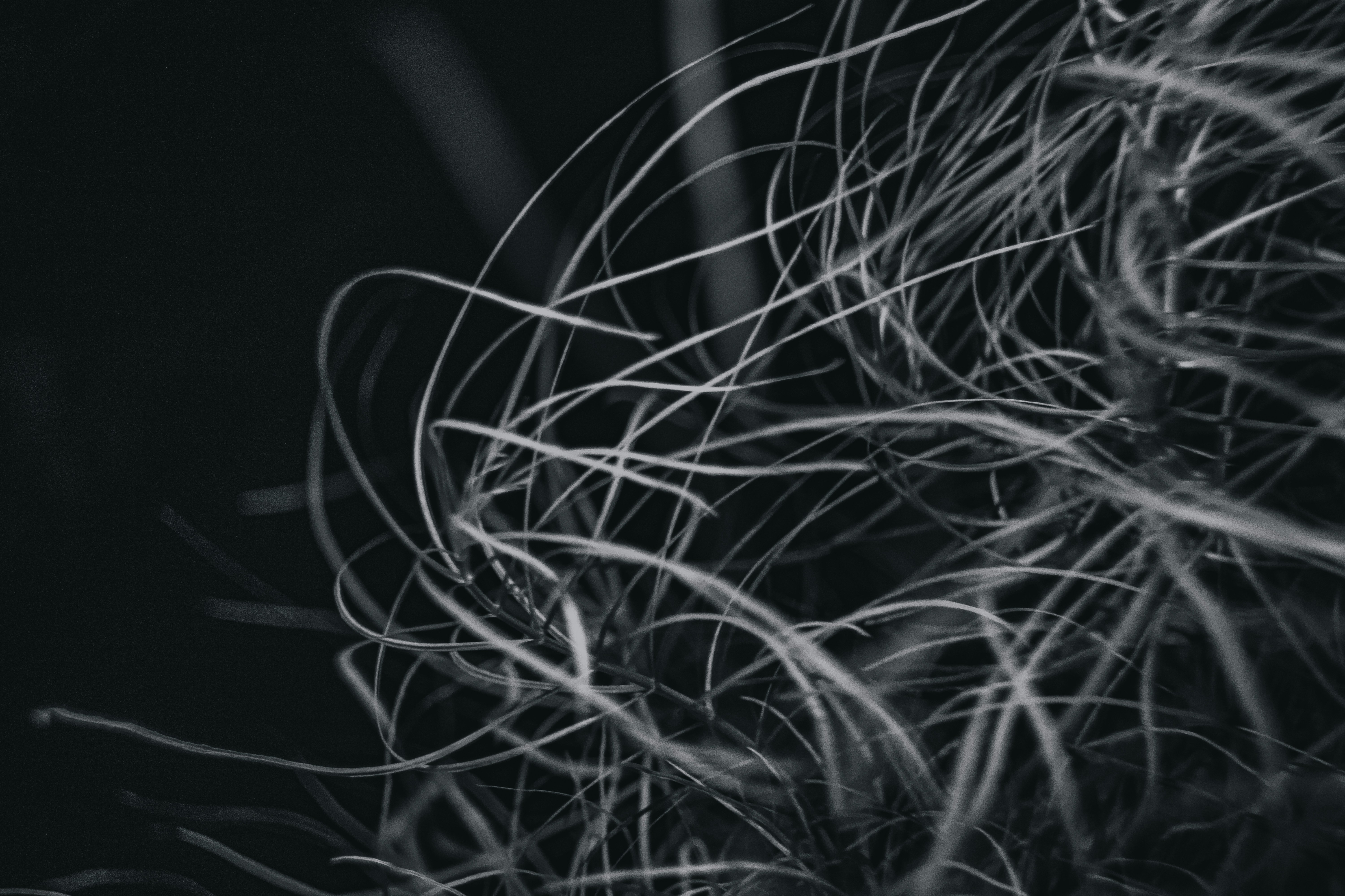 Photo by mineral_of_demon