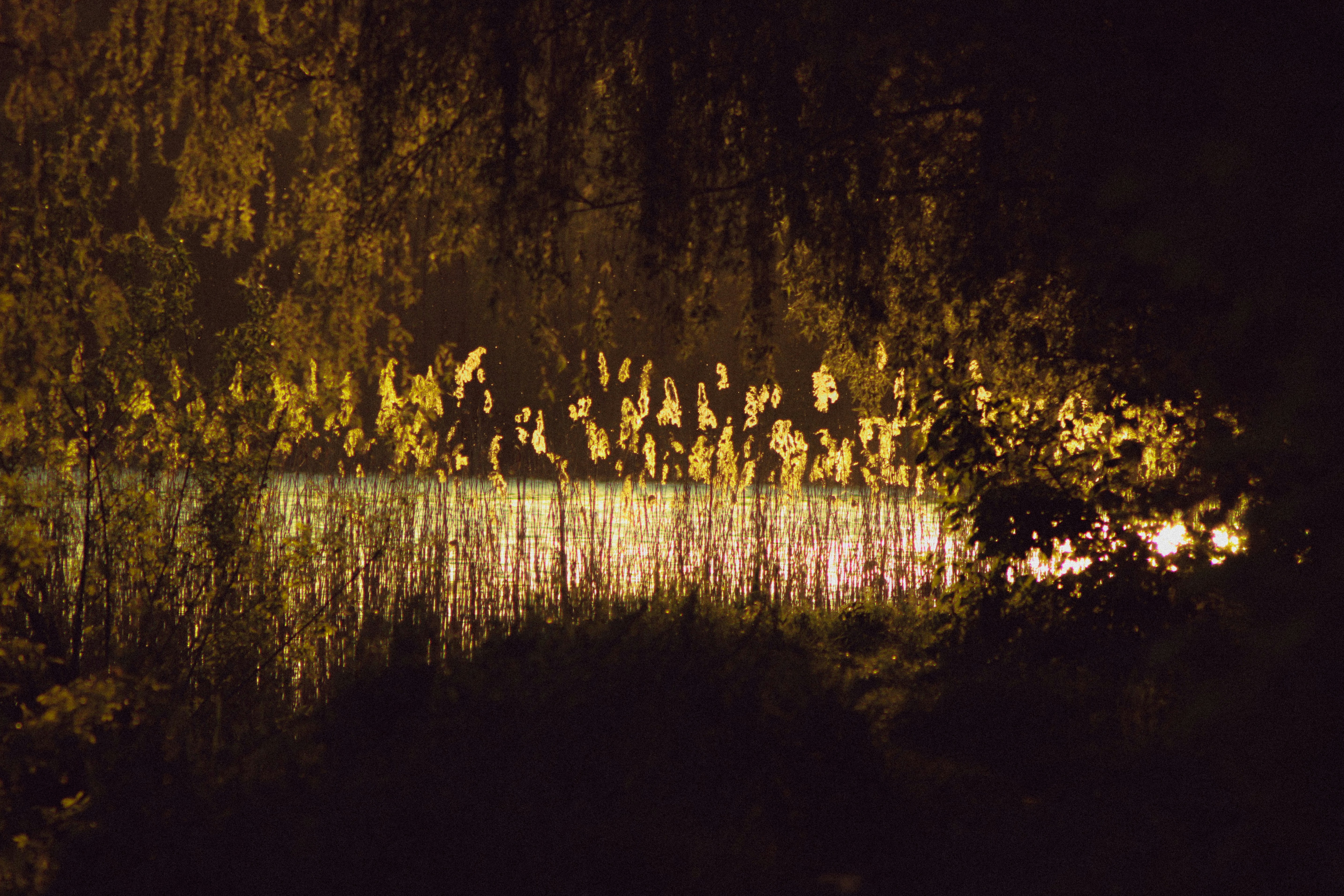 Photo by mineral_of_demon