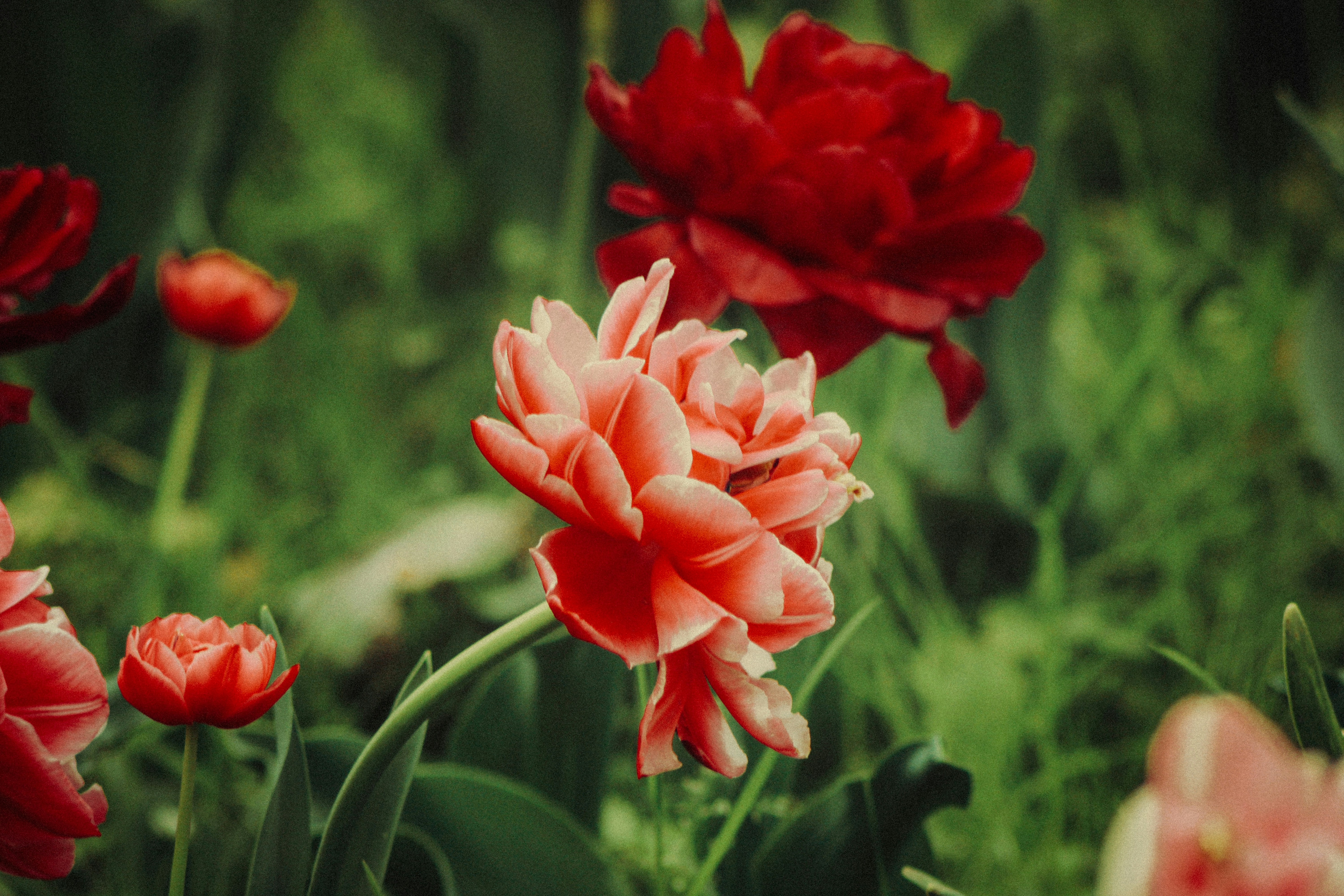 Photo by mineral_of_demon