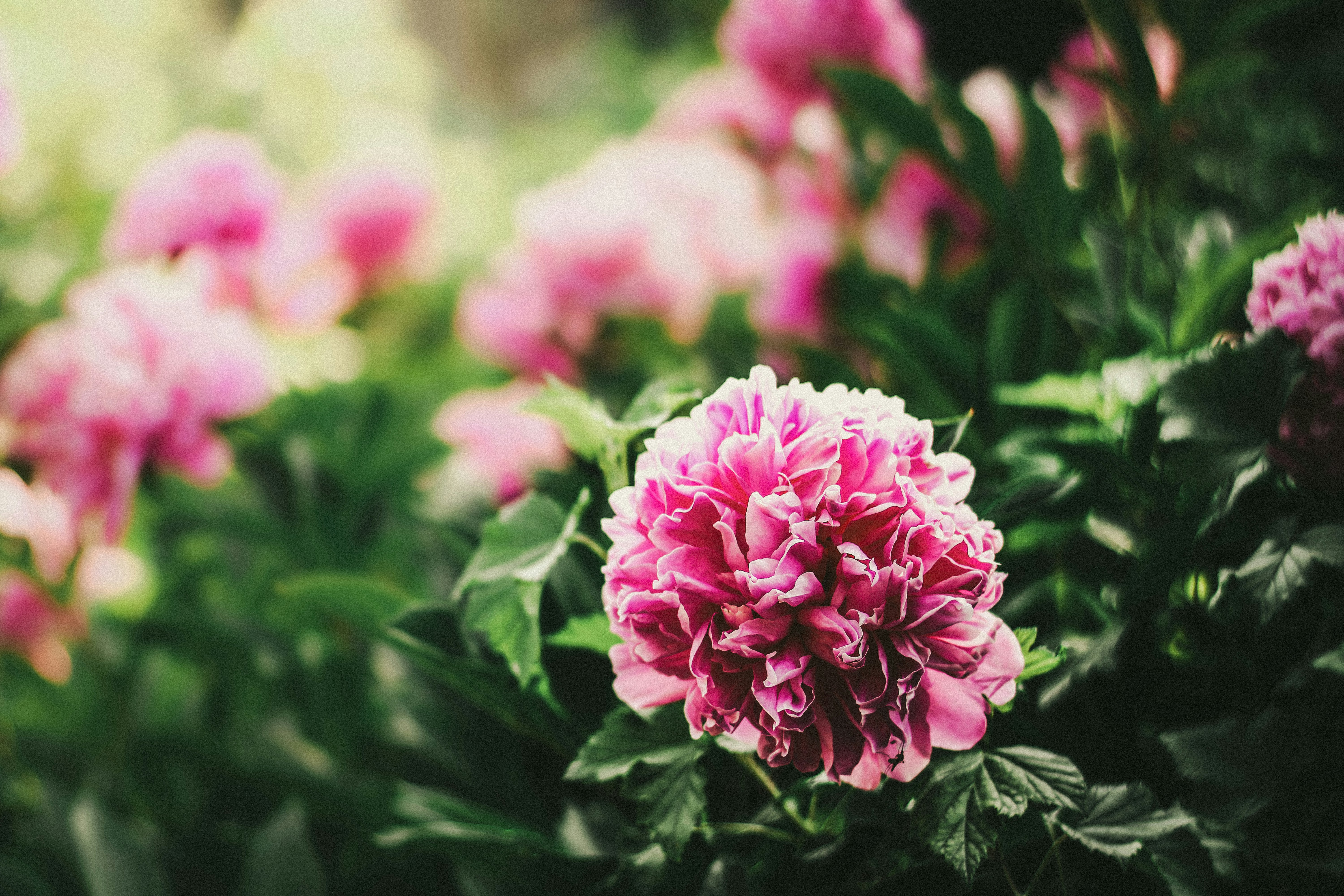 Photo by mineral_of_demon