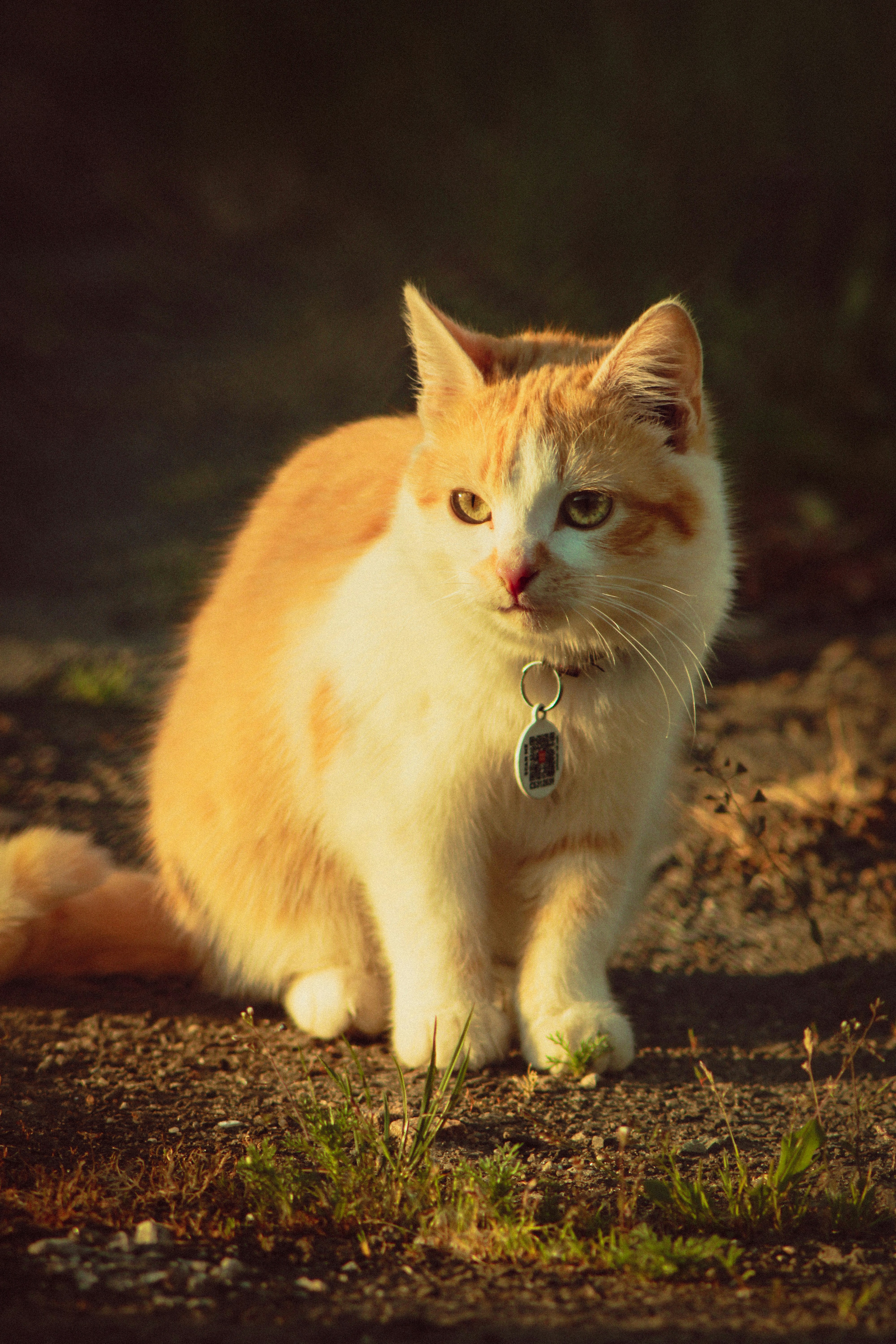 Photo by mineral_of_demon