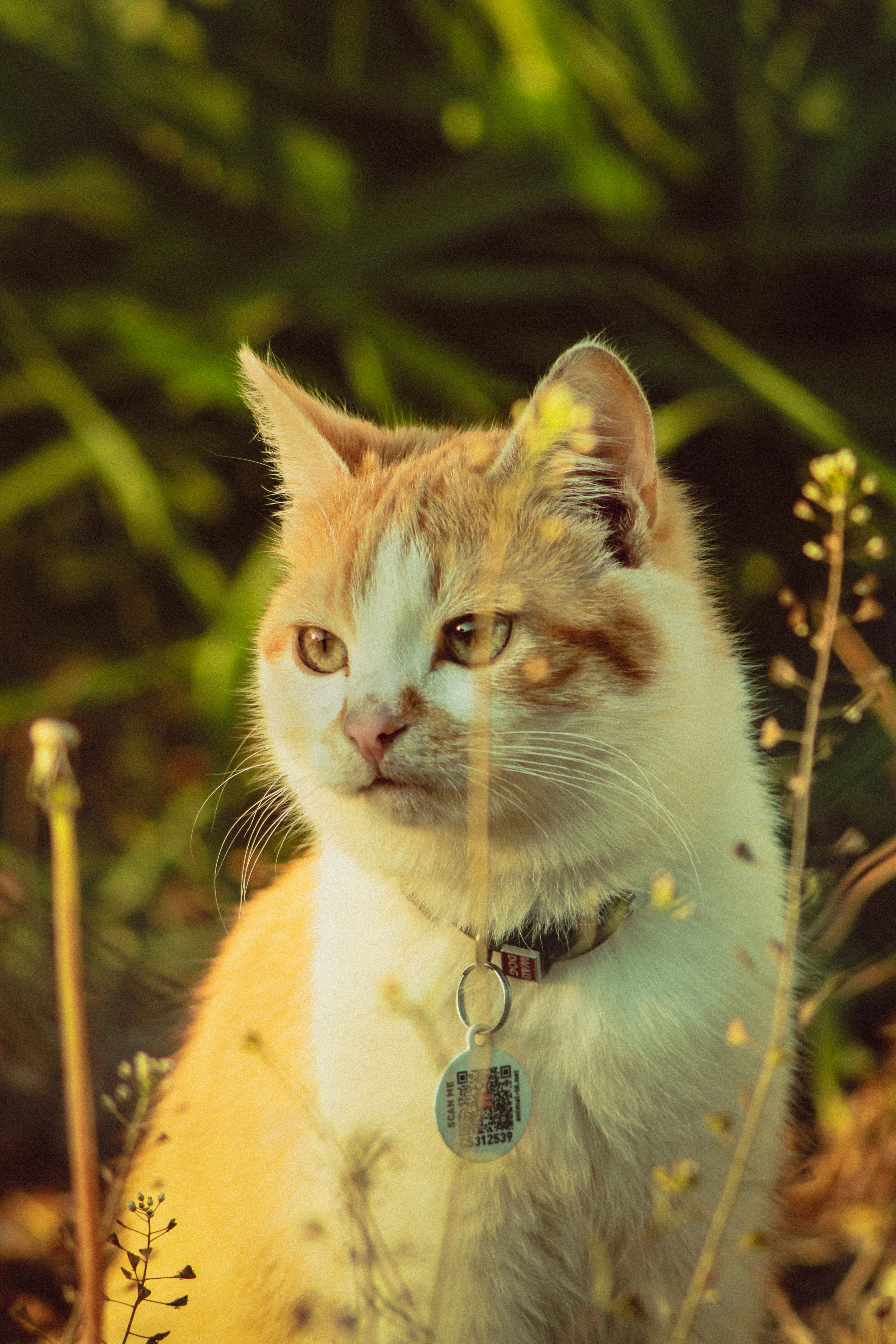 Photo by mineral_of_demon