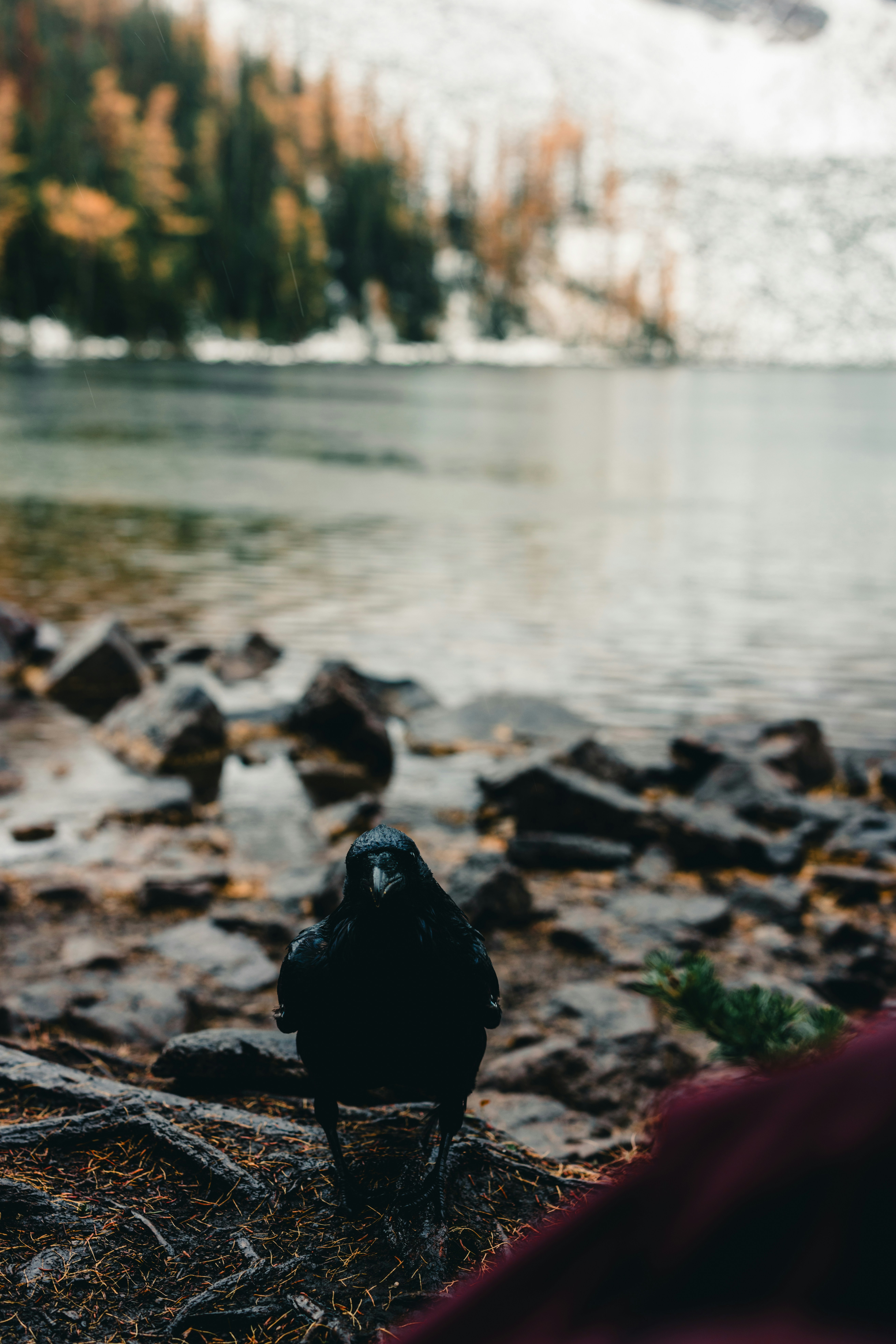 Photo by lureofadventure