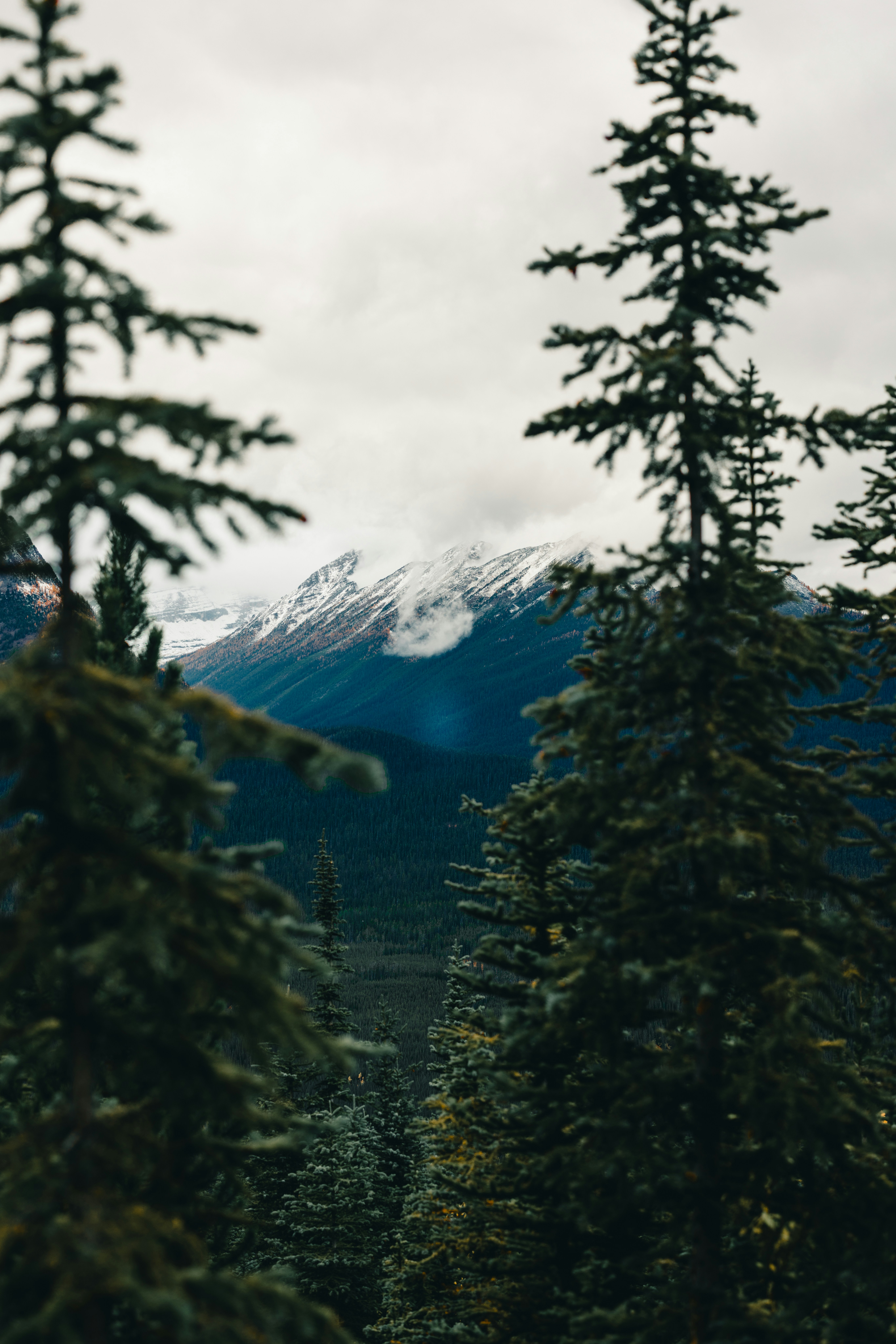 Photo by lureofadventure