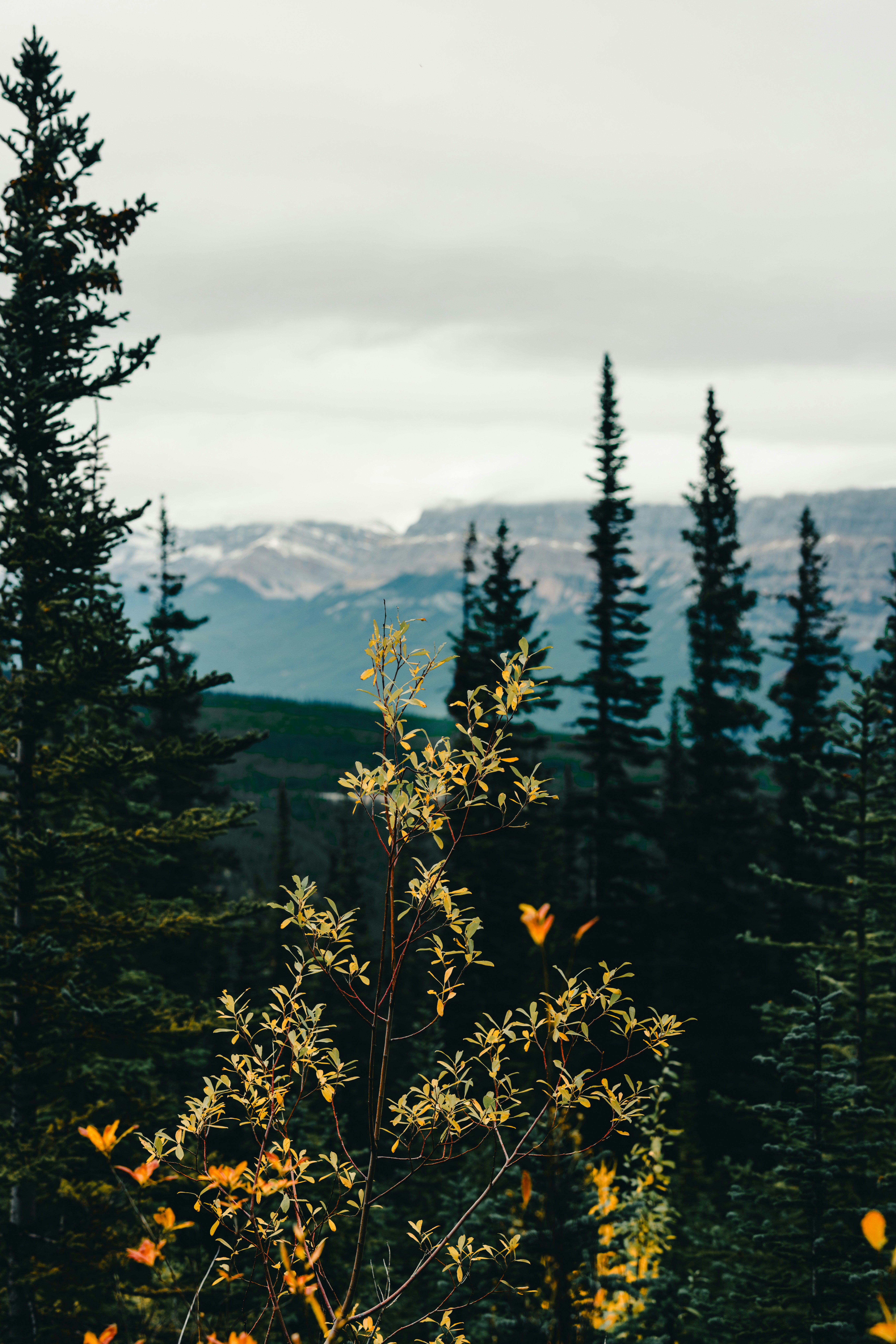 Photo by lureofadventure