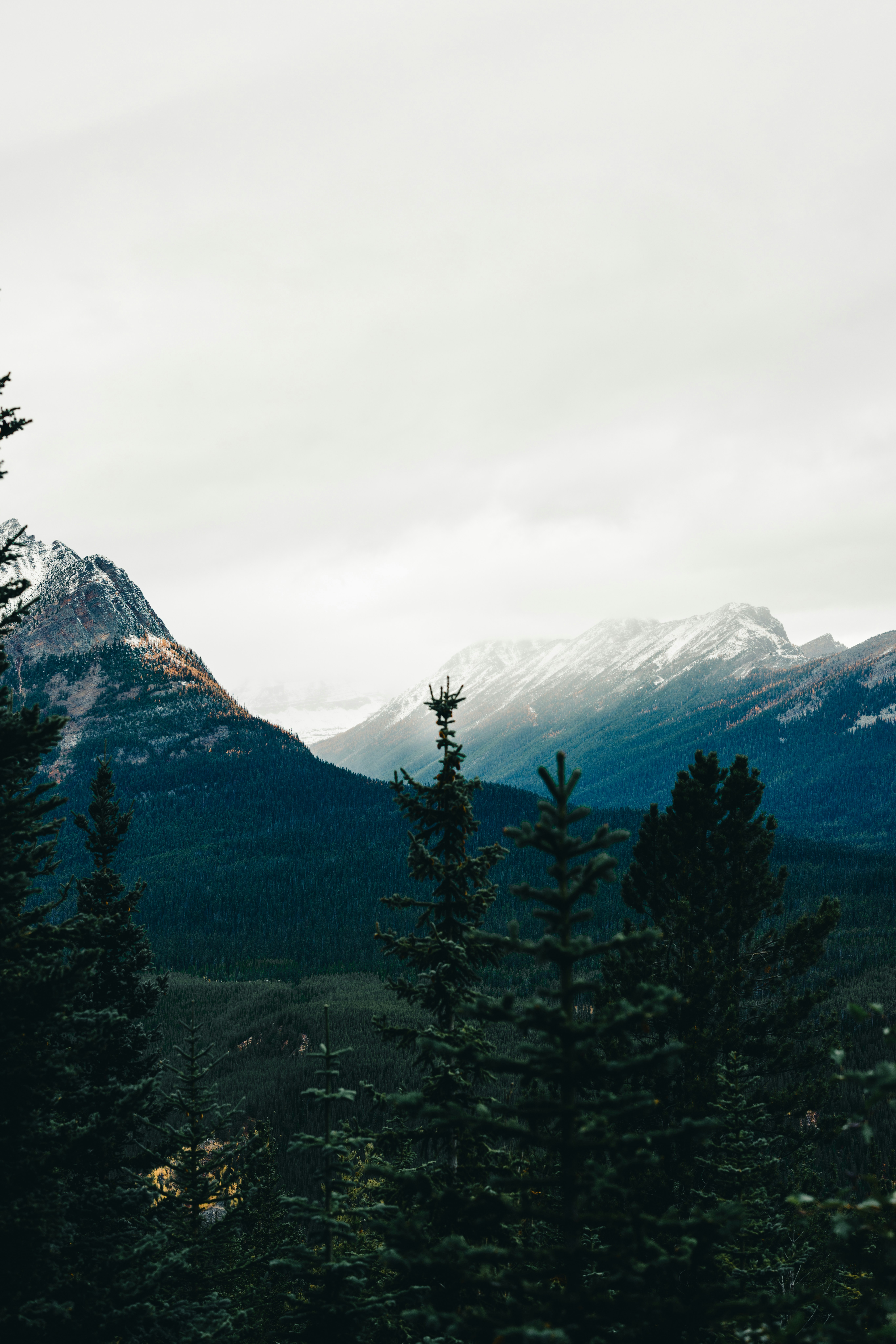 A view of a mountain range with trees in the foreground