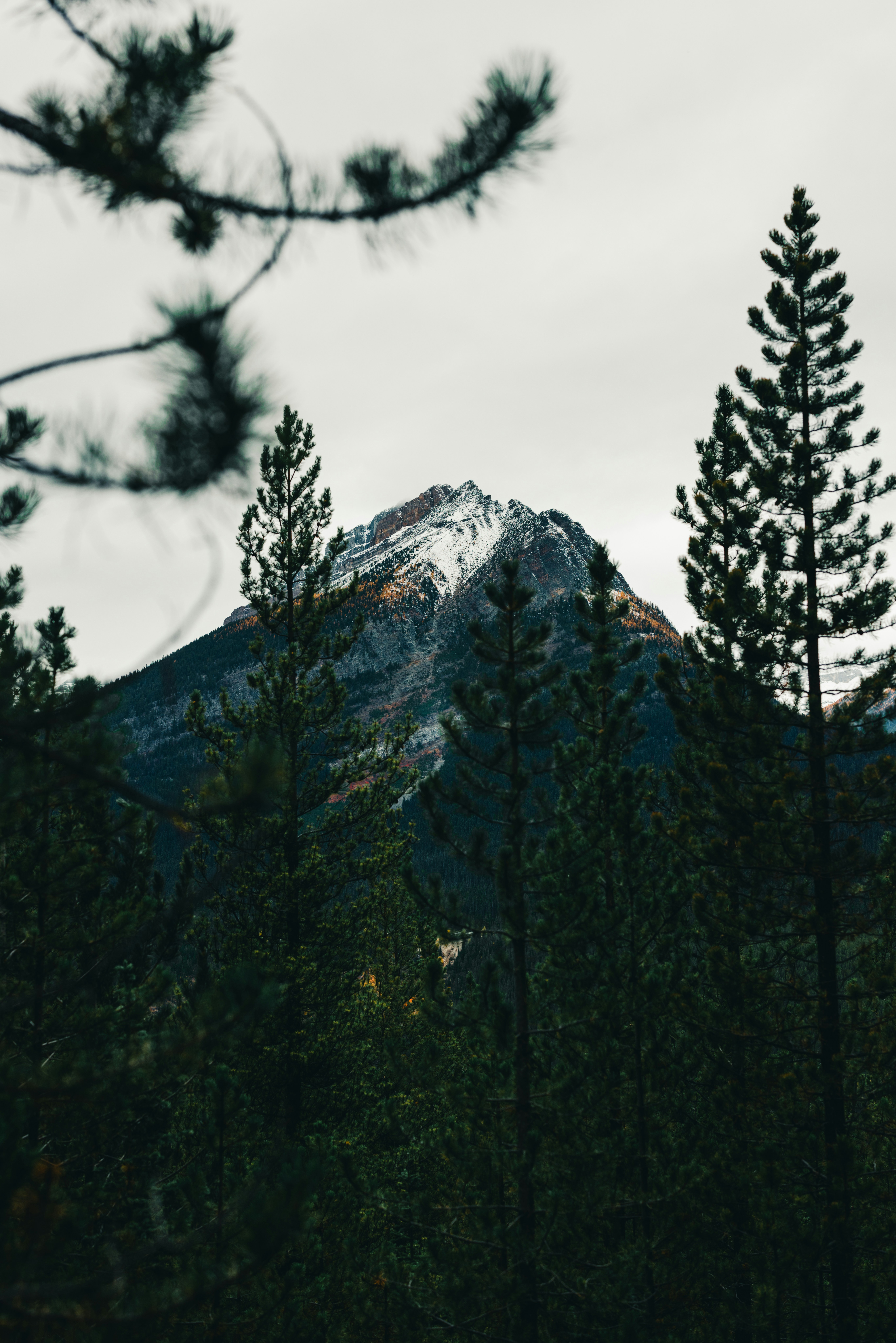 A view of a mountain through some trees