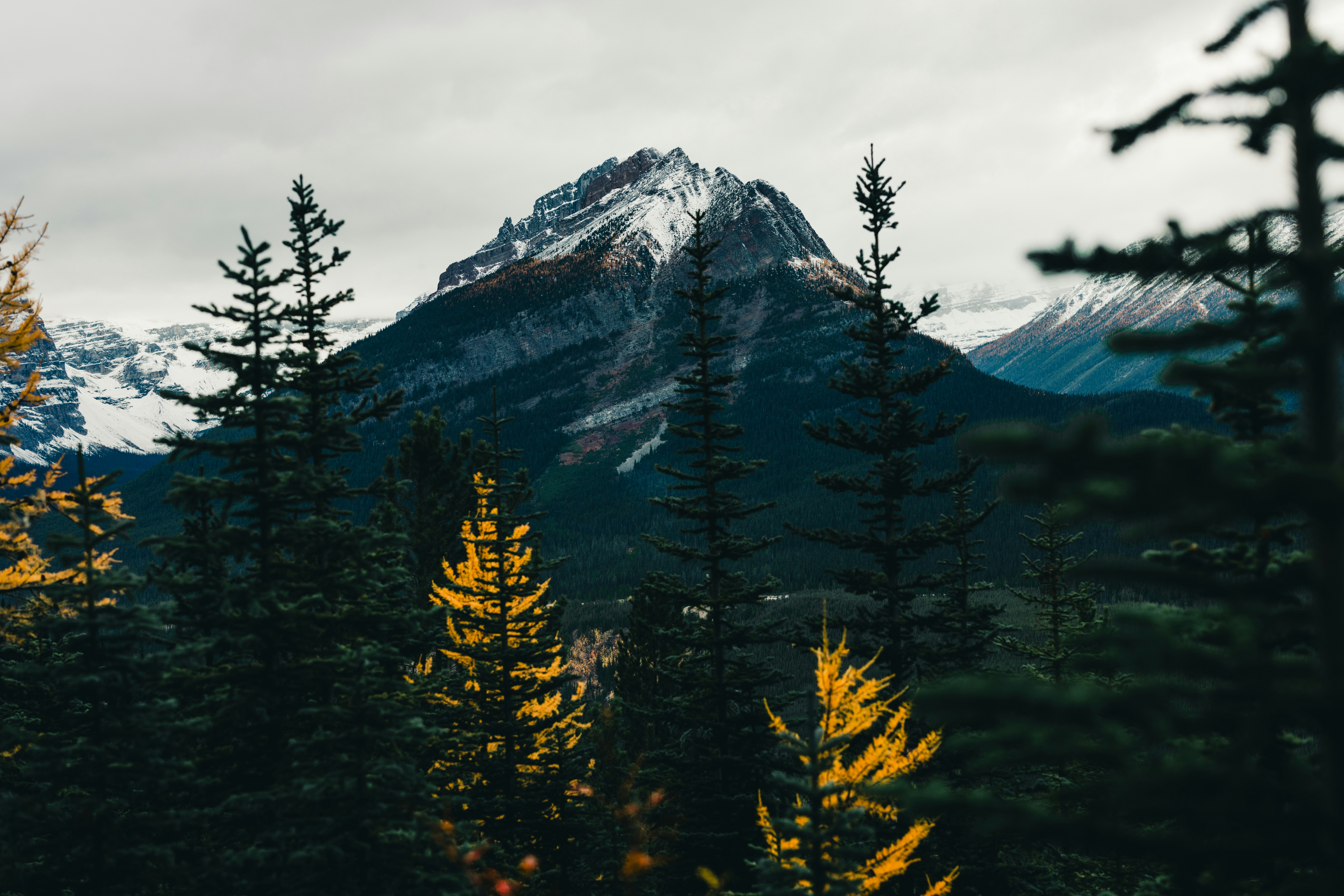 Photo by lureofadventure