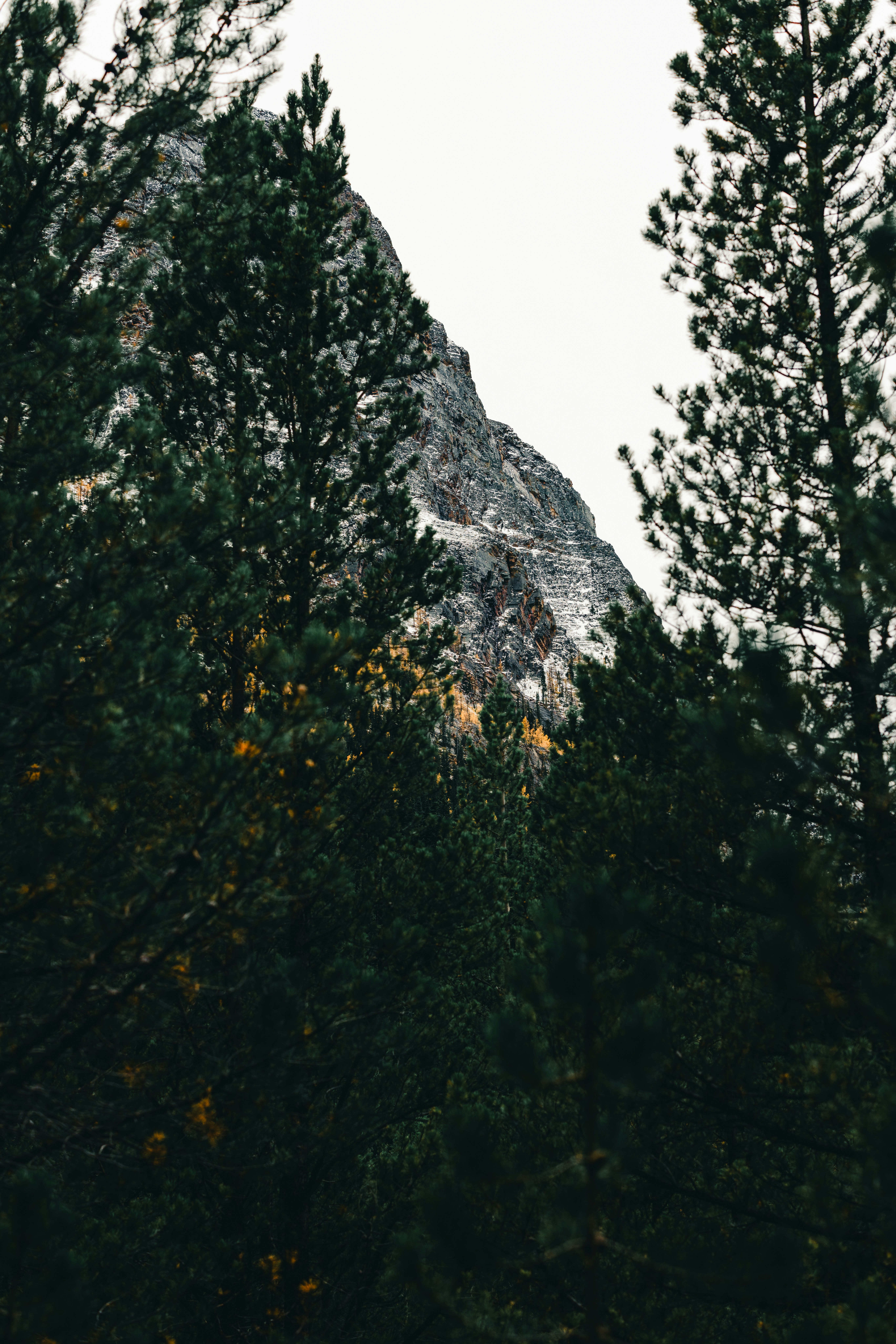 Photo by lureofadventure