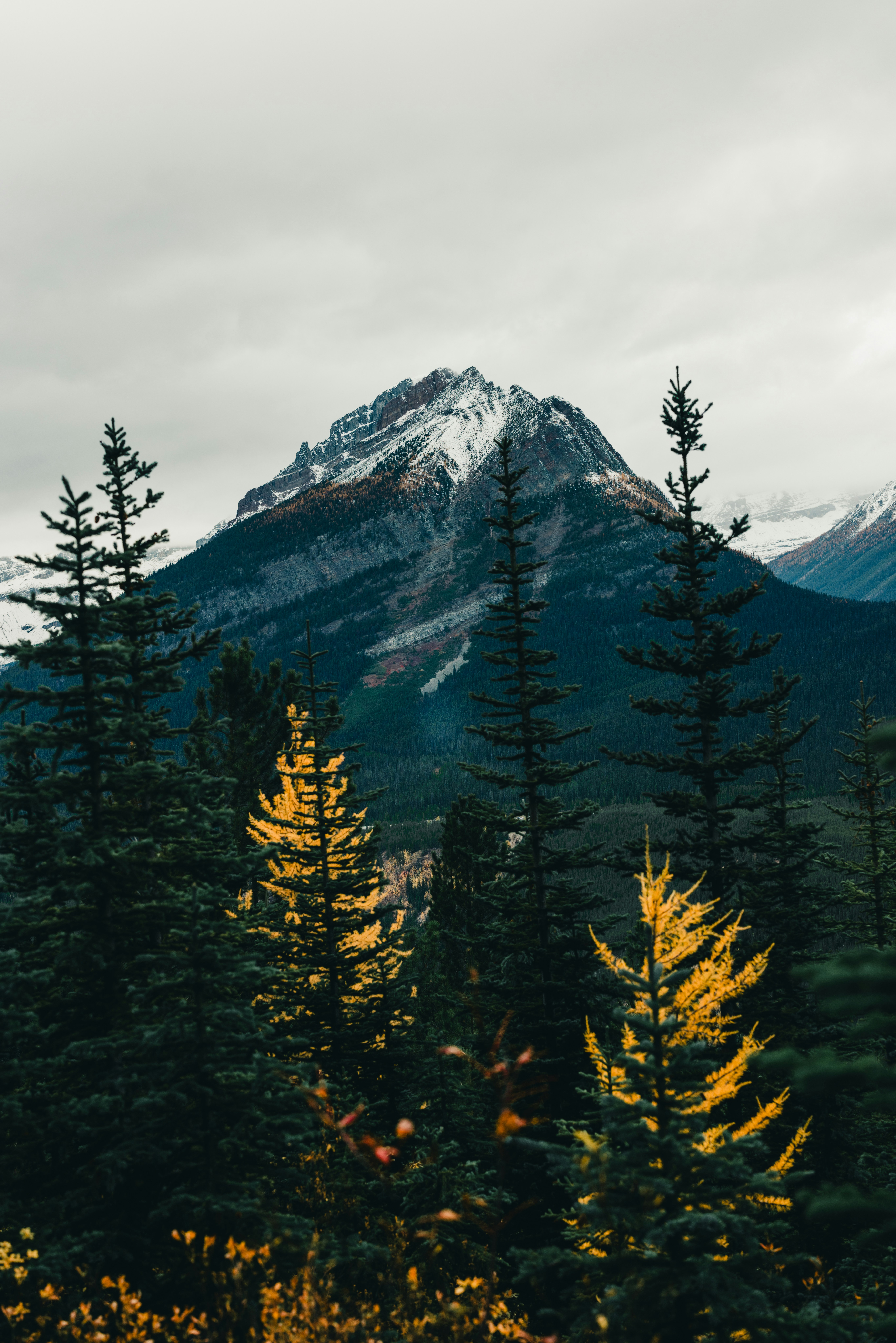 Photo by lureofadventure