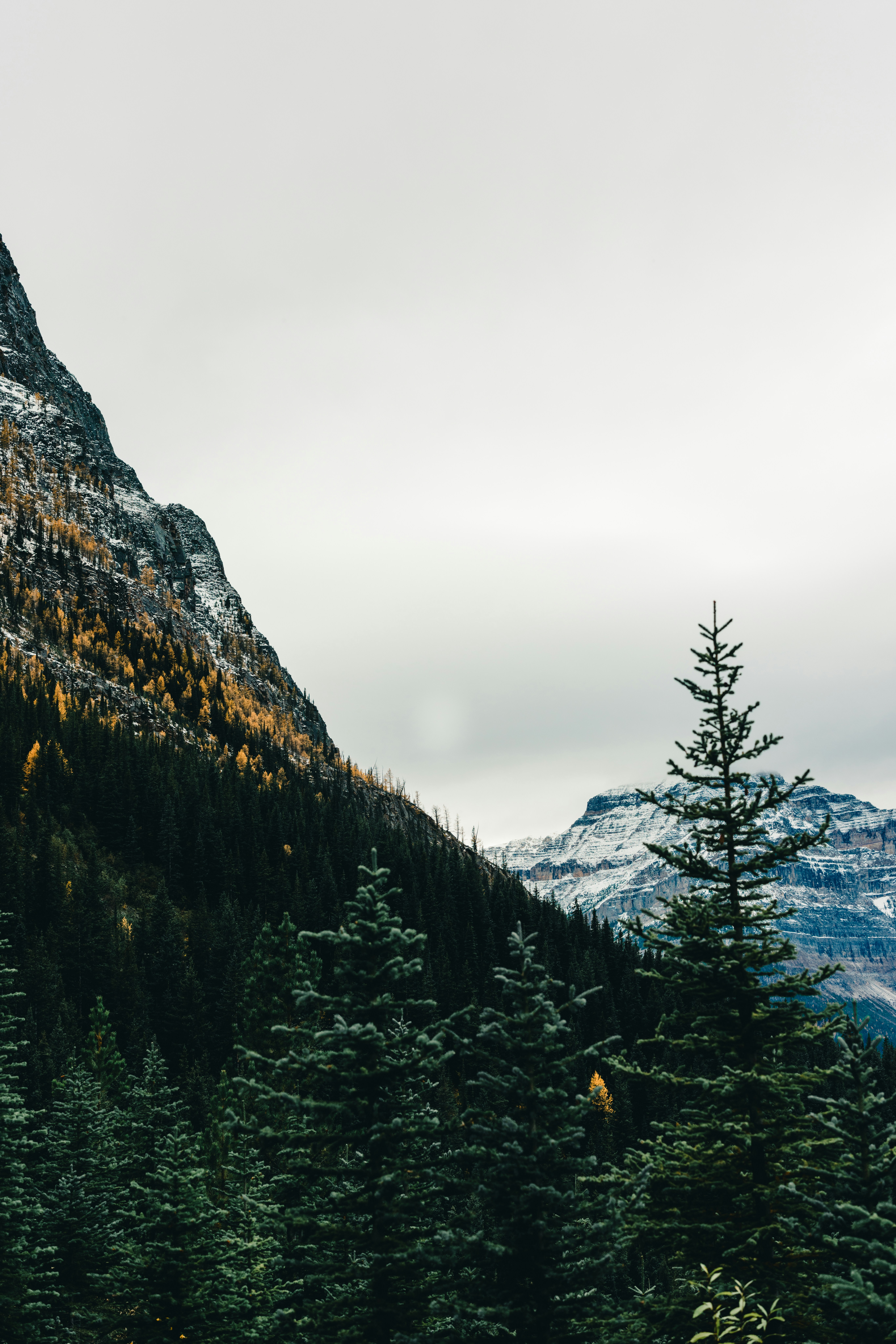 Photo by lureofadventure