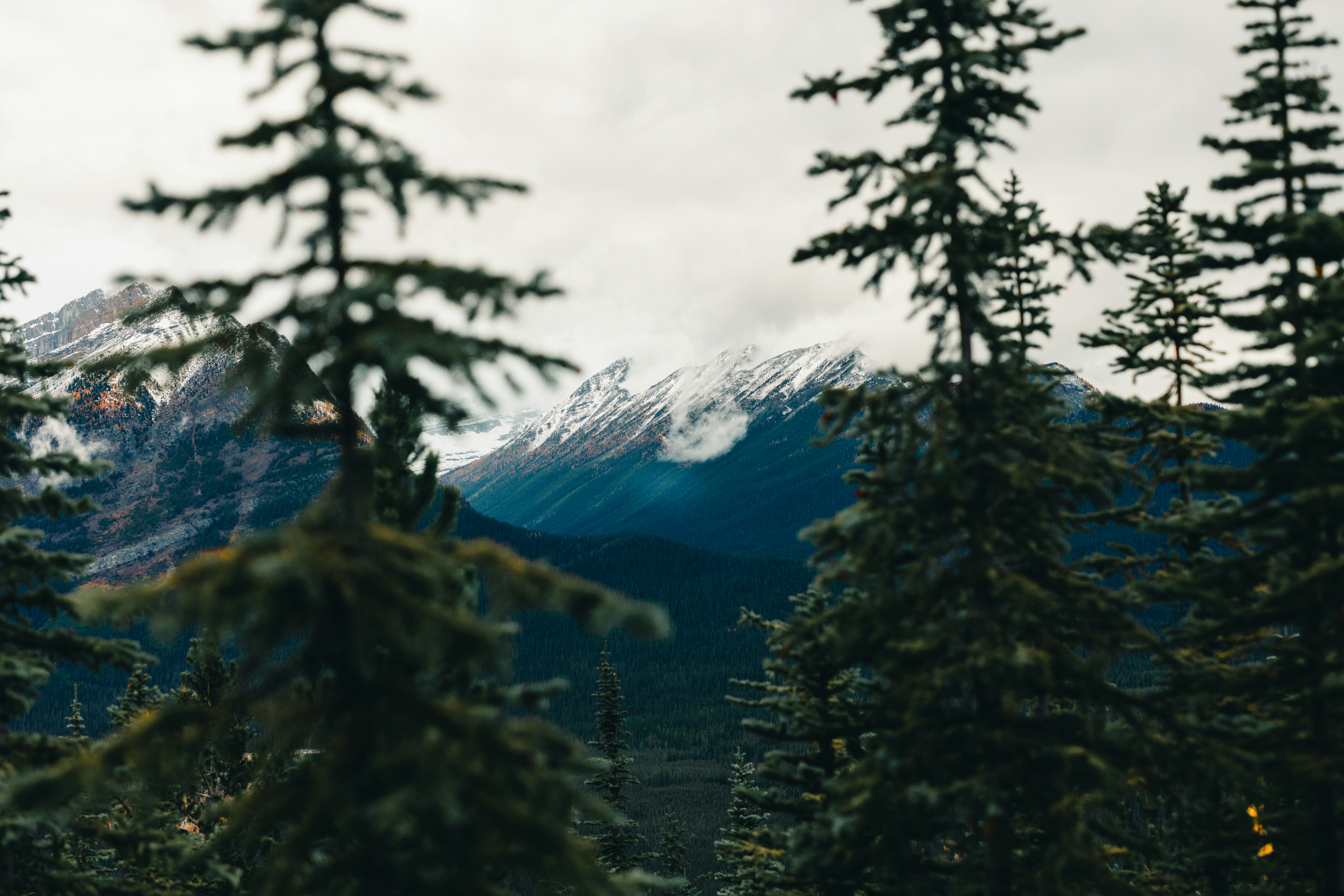 Photo by lureofadventure