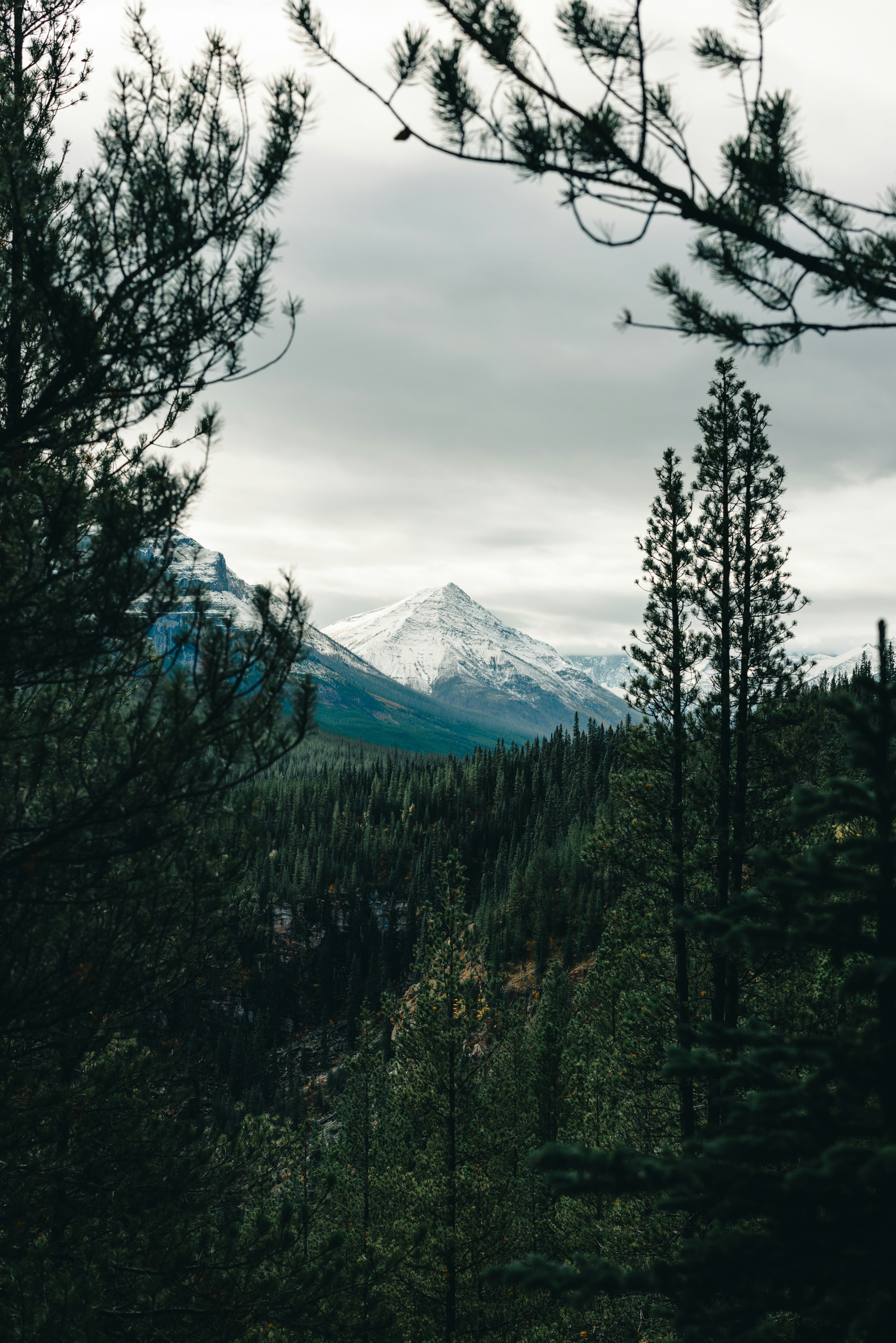 Photo by lureofadventure