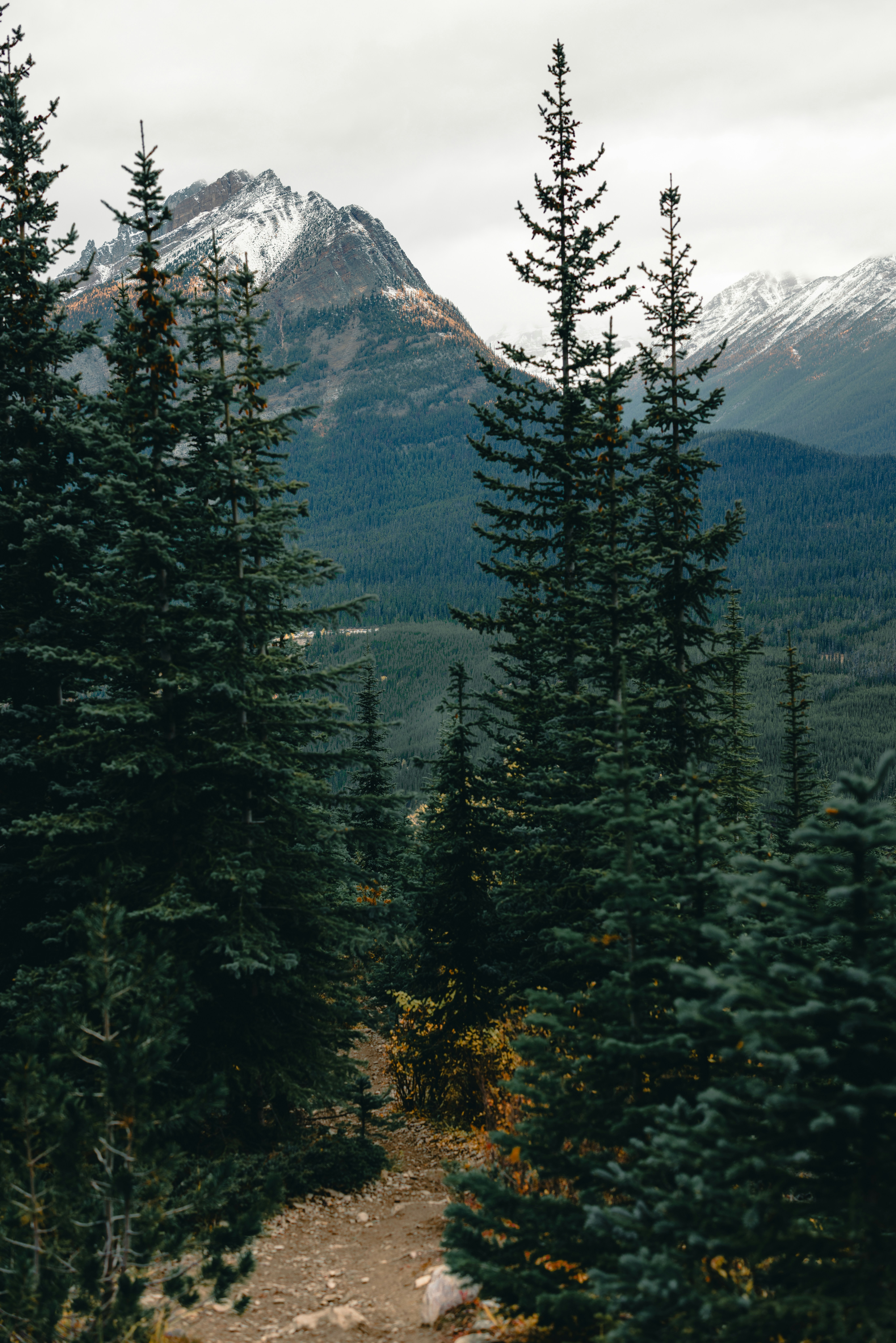 Photo by lureofadventure