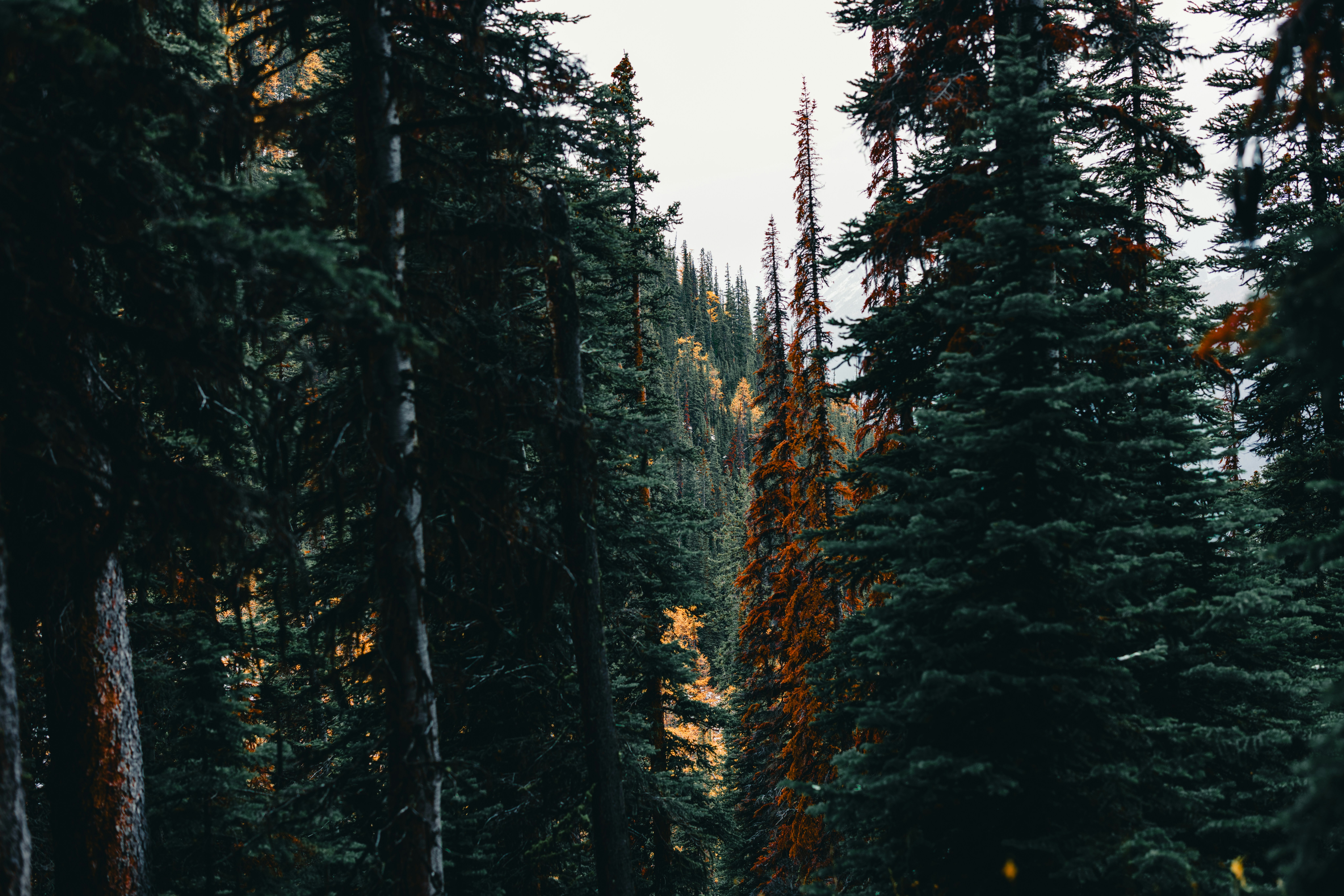 Photo by lureofadventure