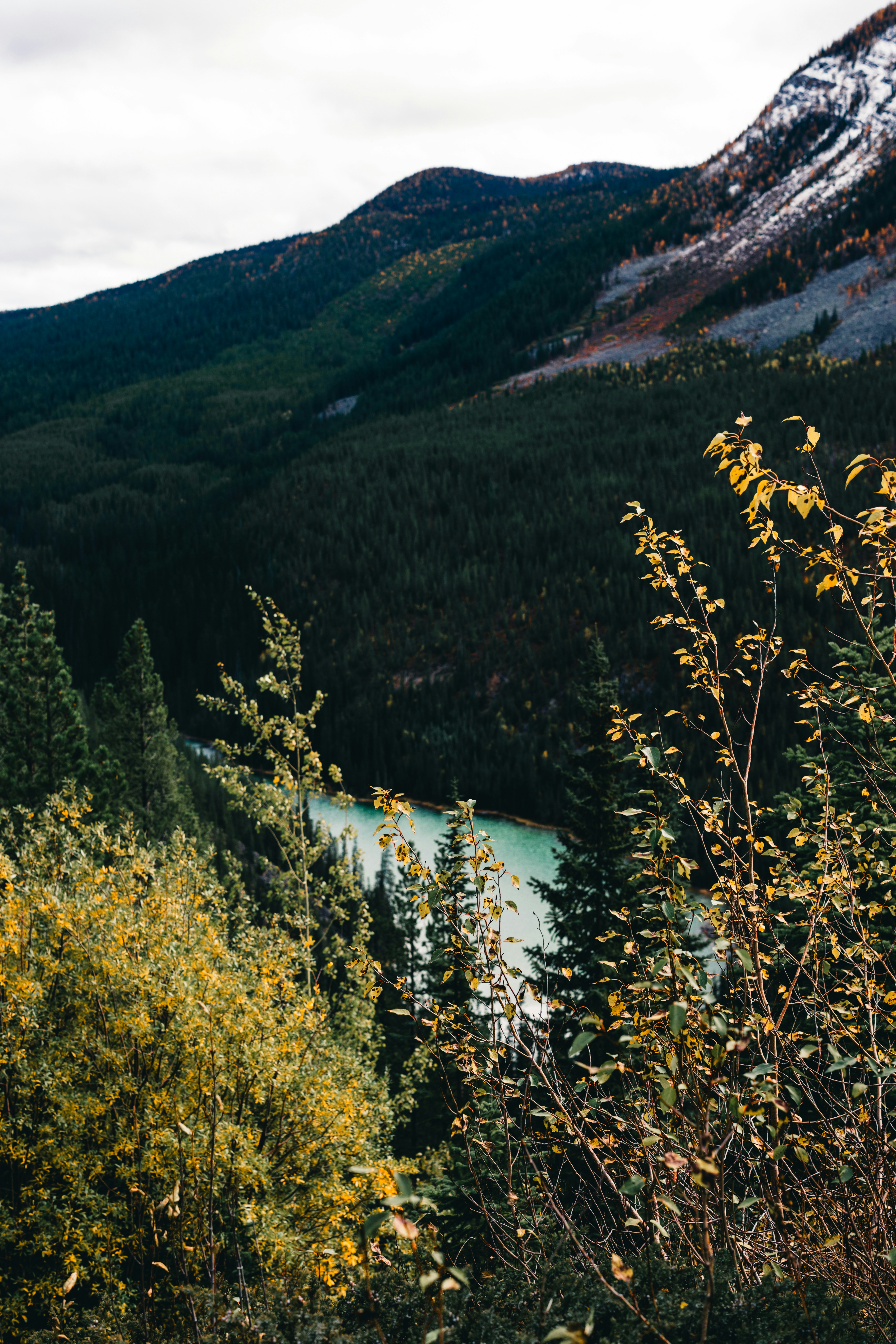 Photo by lureofadventure