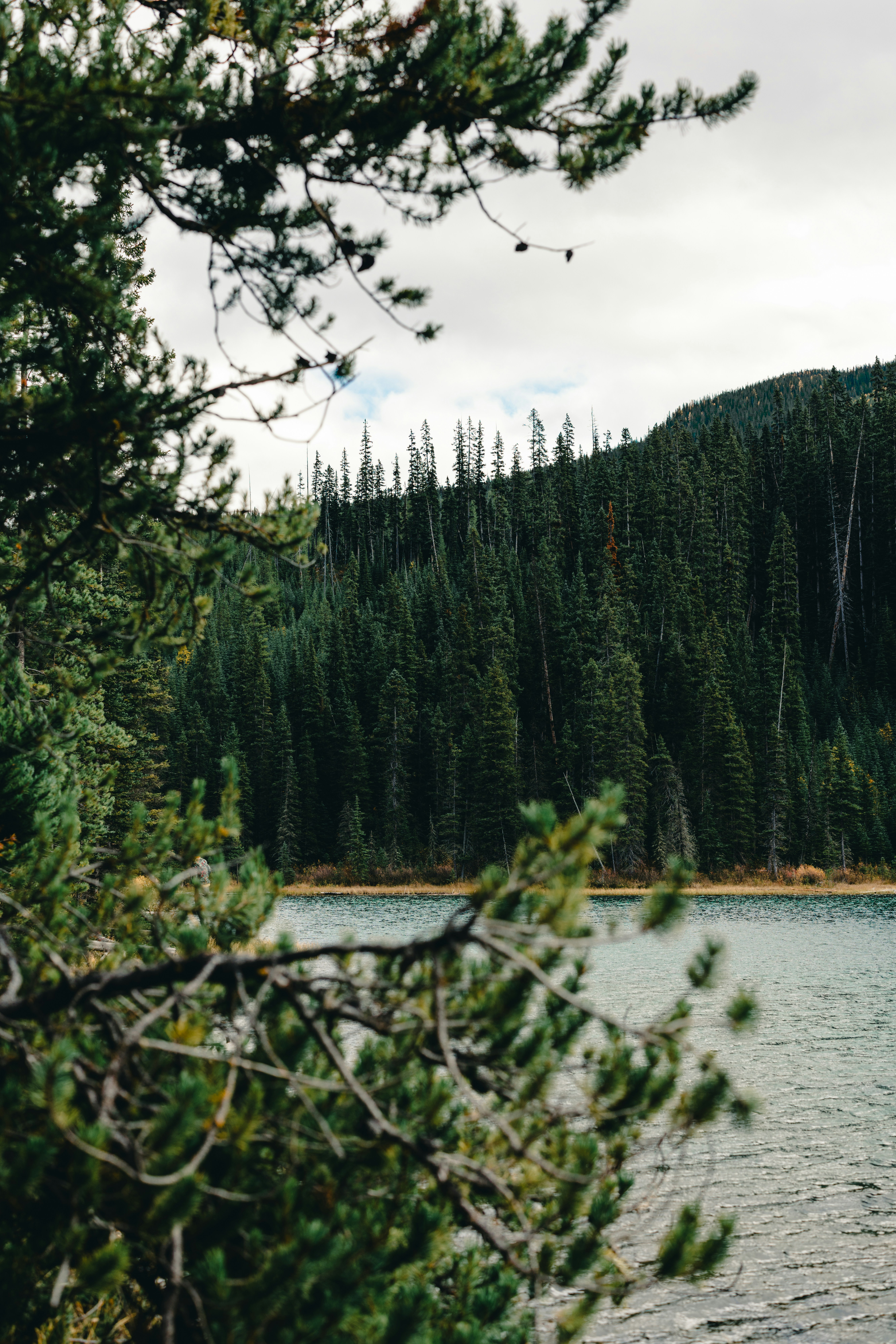 Photo by lureofadventure