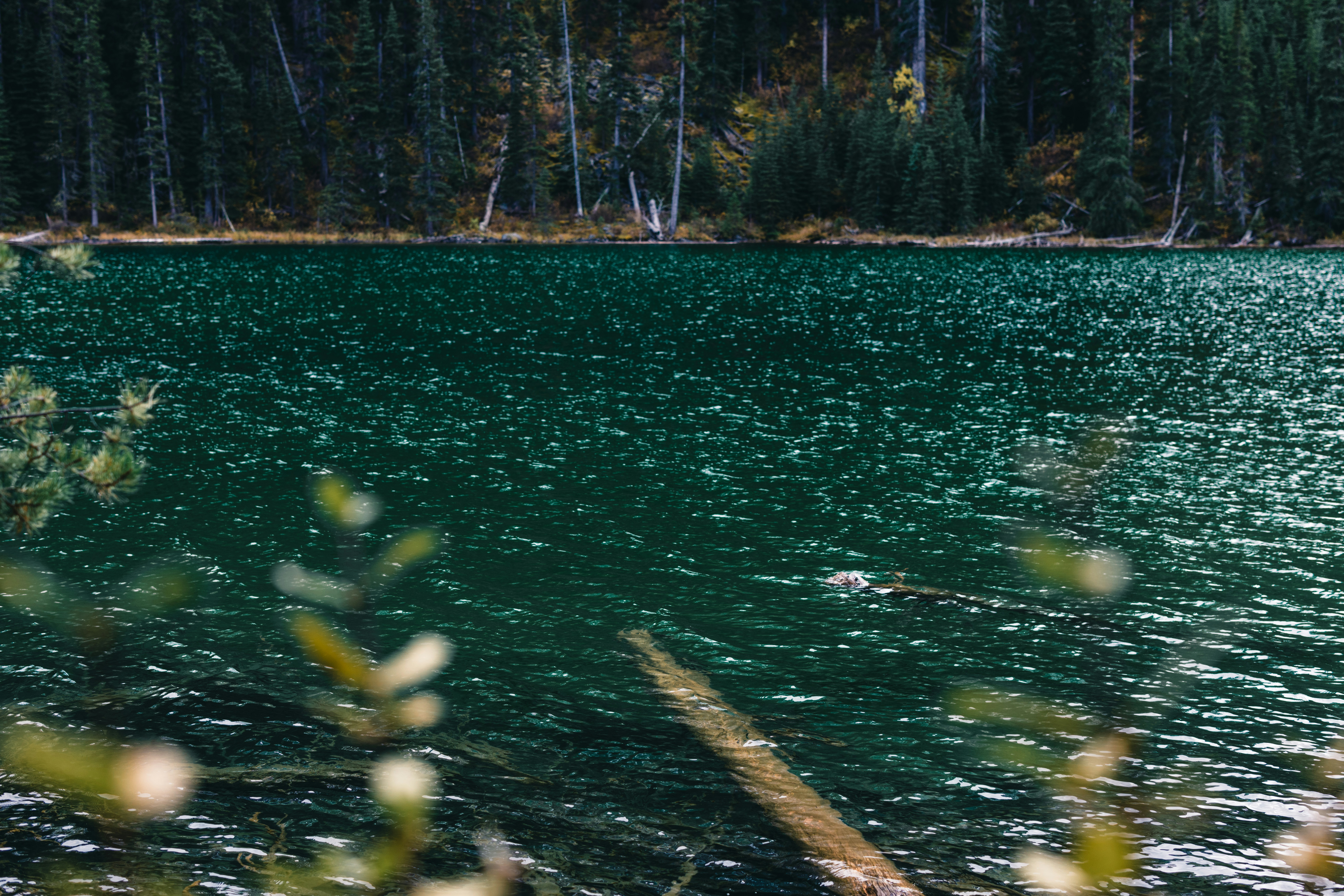 Photo by lureofadventure