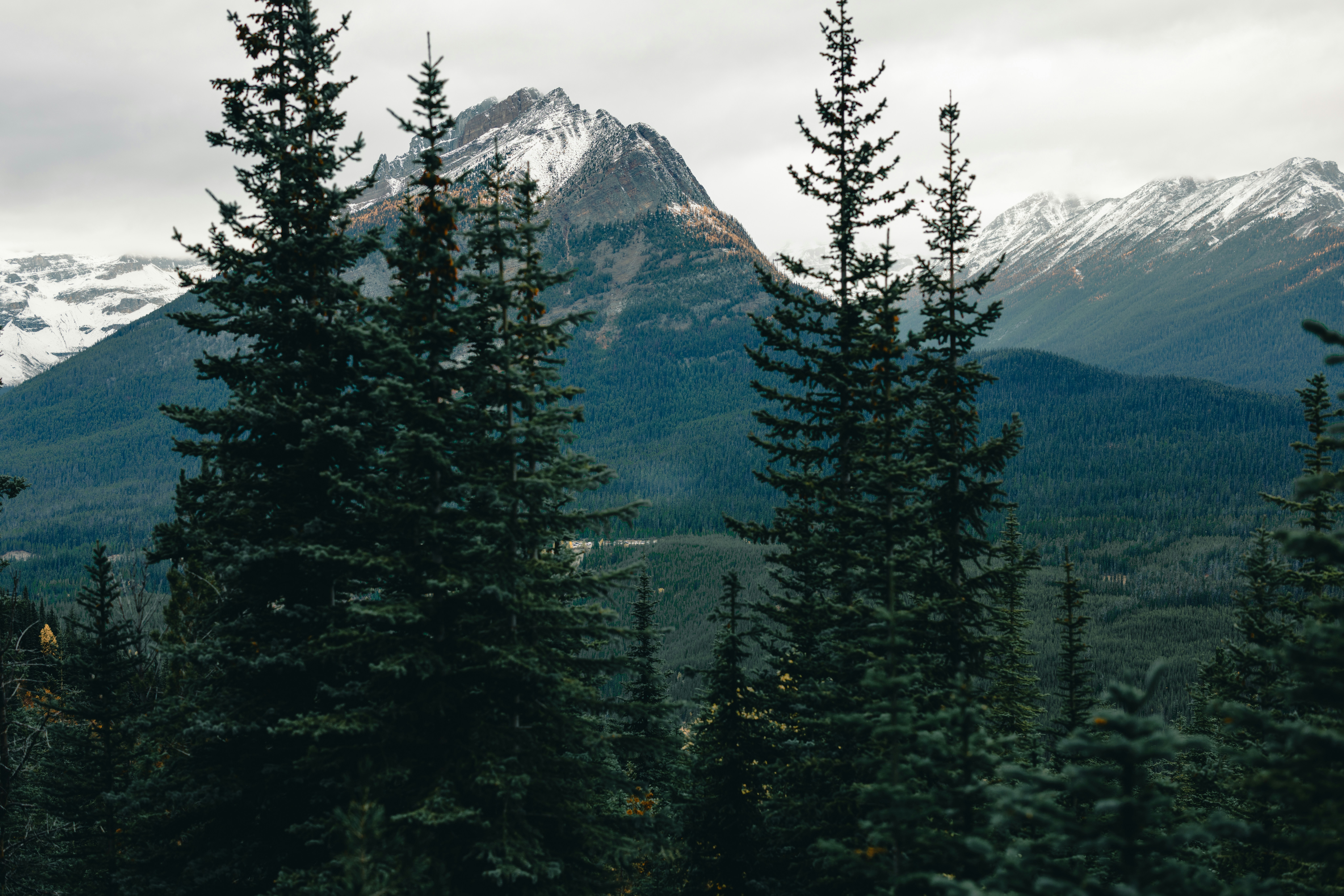 Photo by lureofadventure