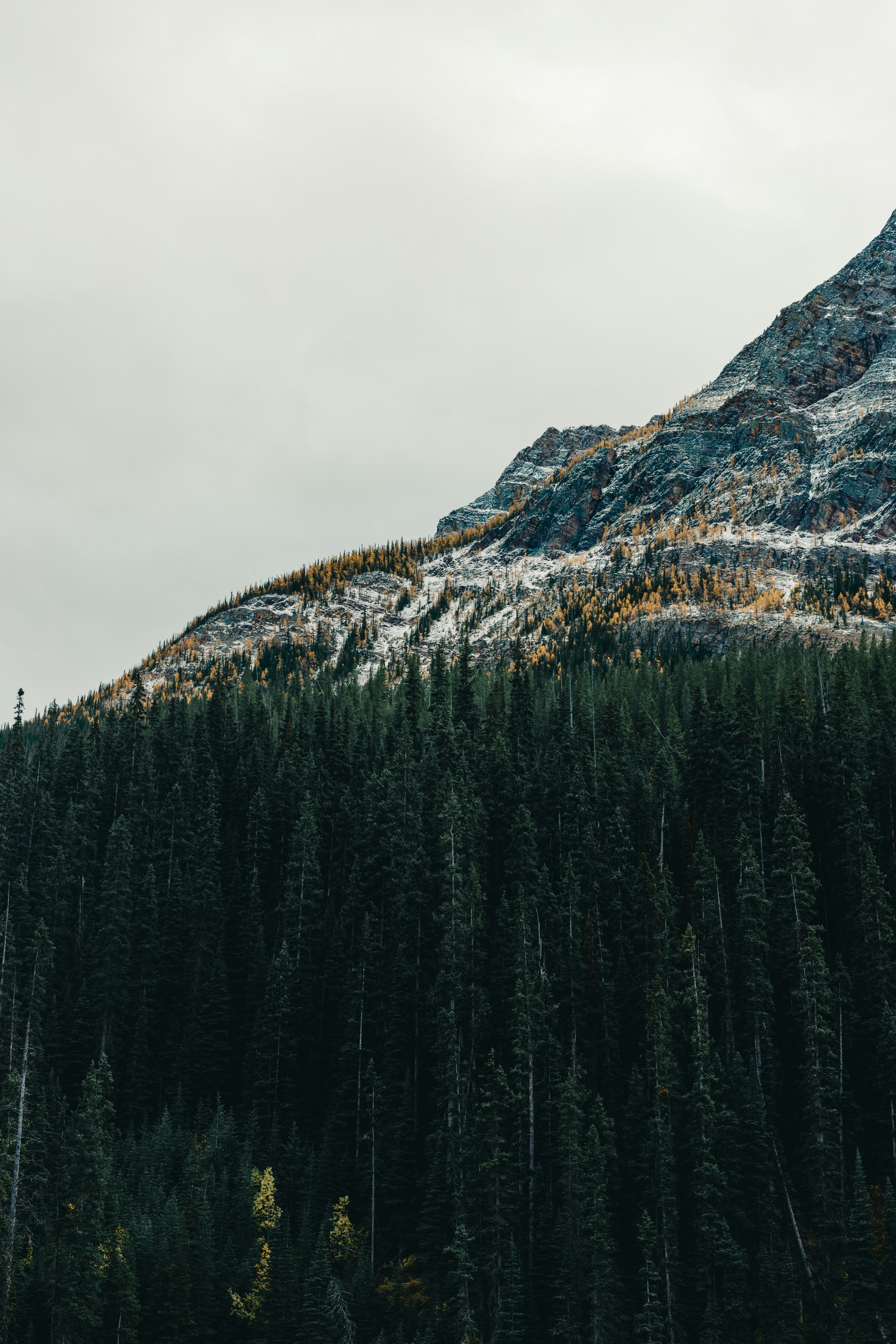 Photo by lureofadventure