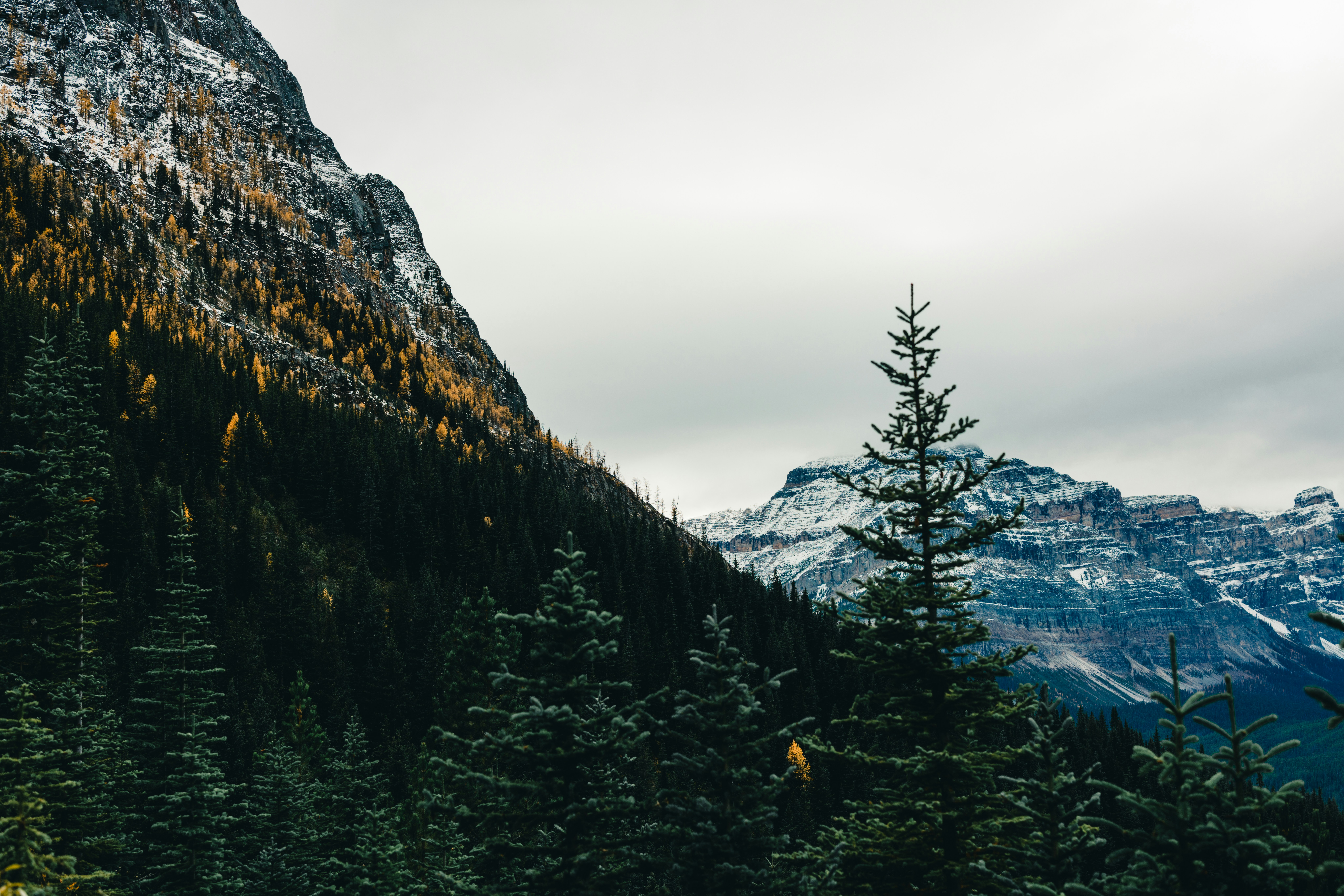 Photo by lureofadventure