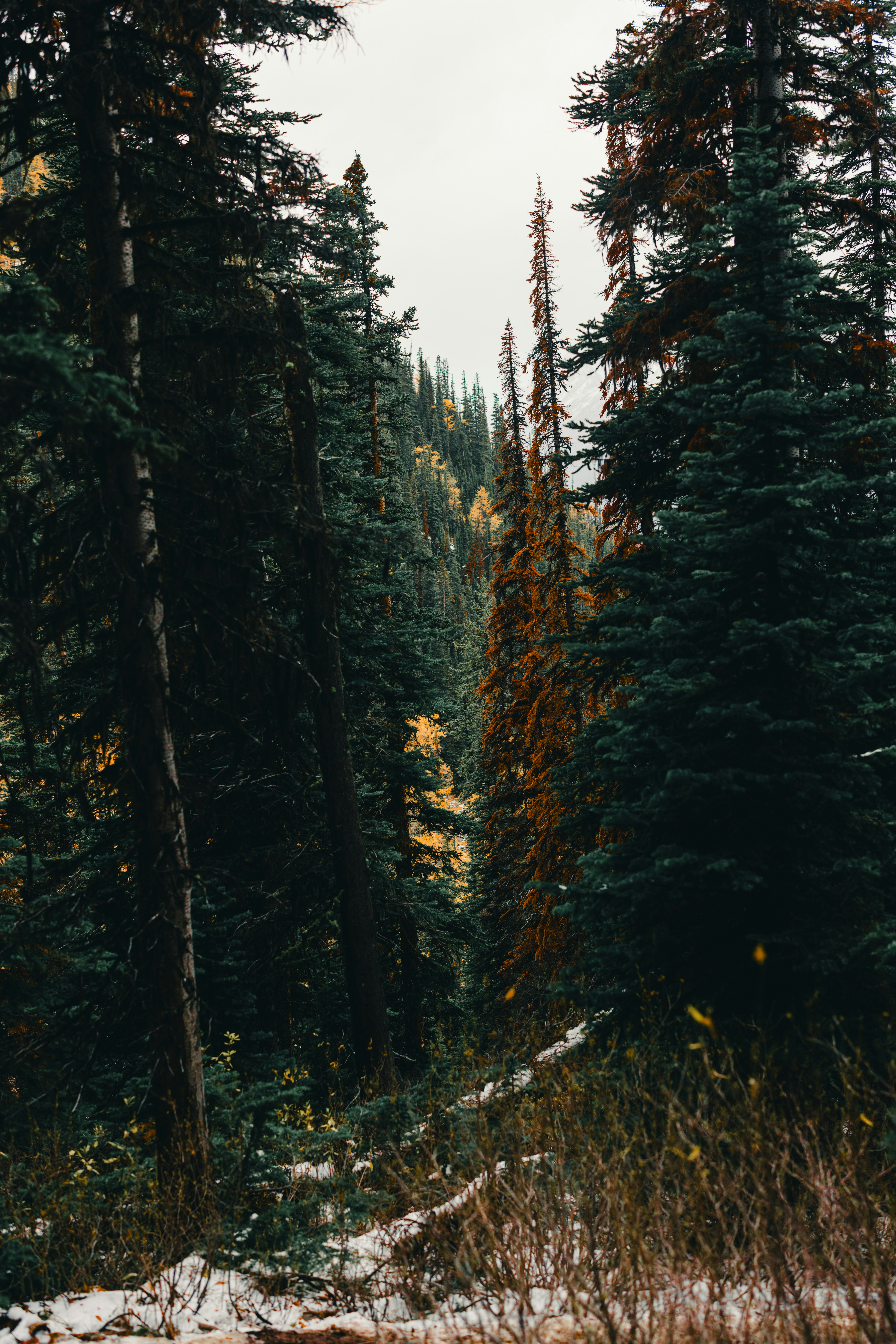 Photo by lureofadventure