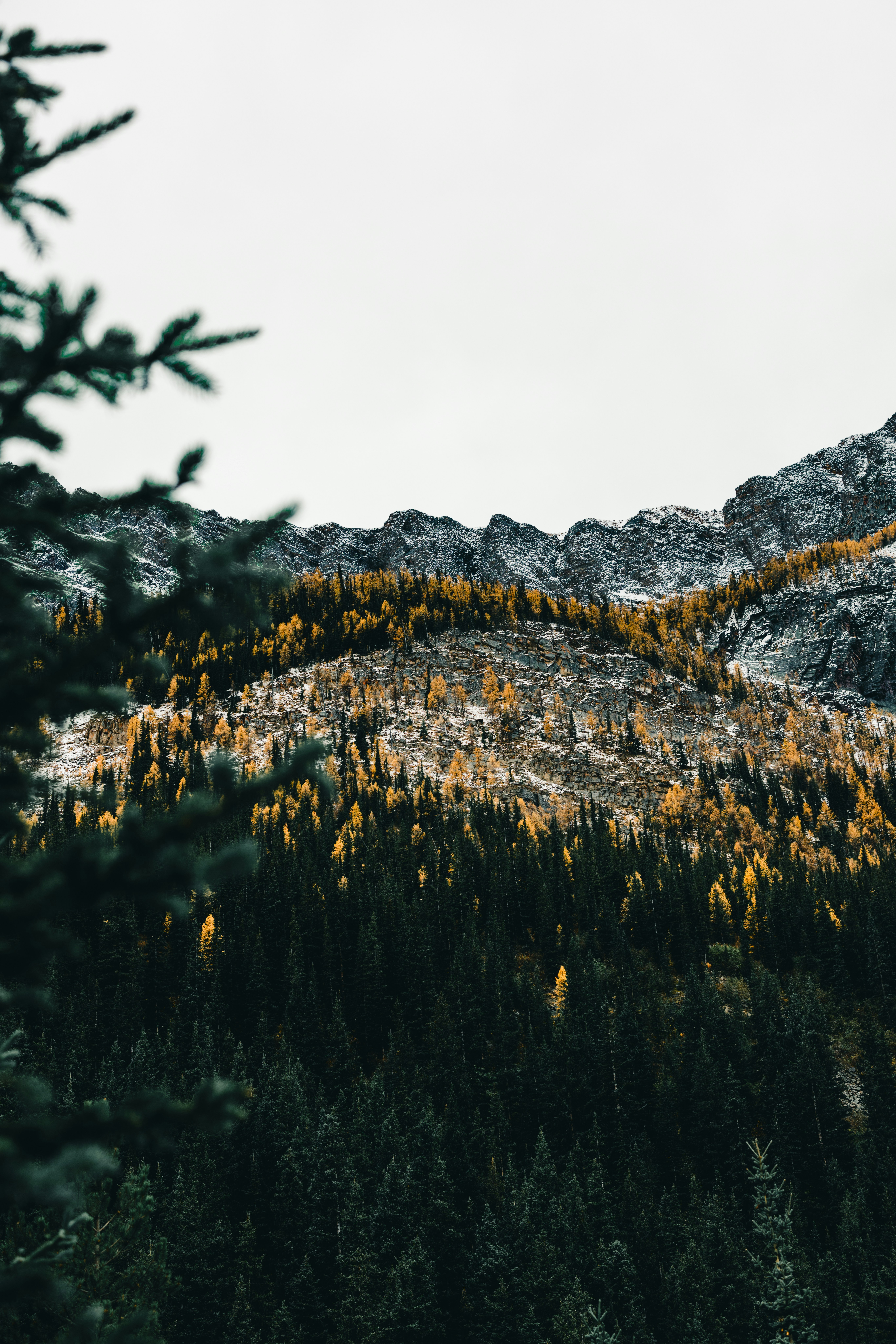 Photo by lureofadventure