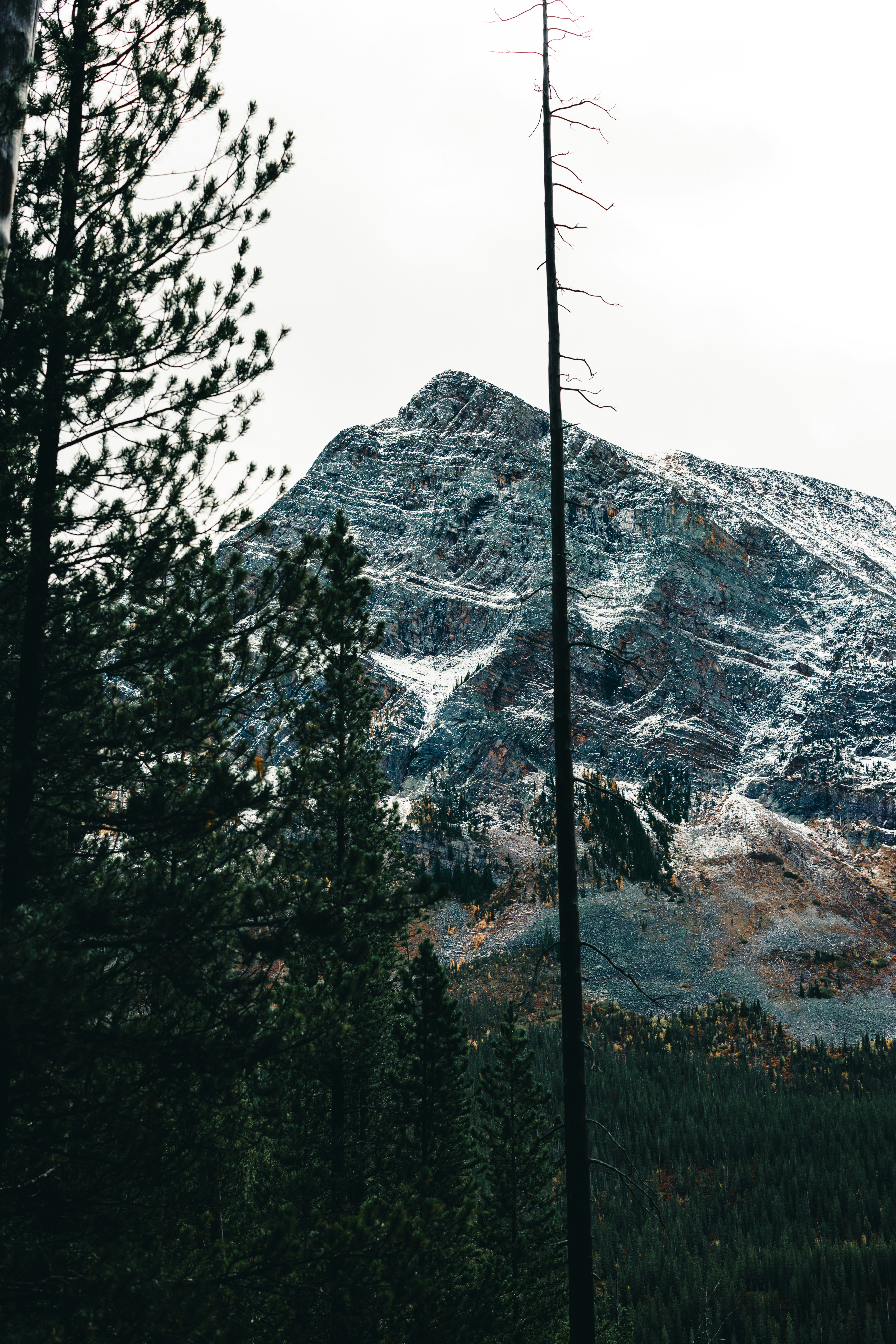 Photo by lureofadventure