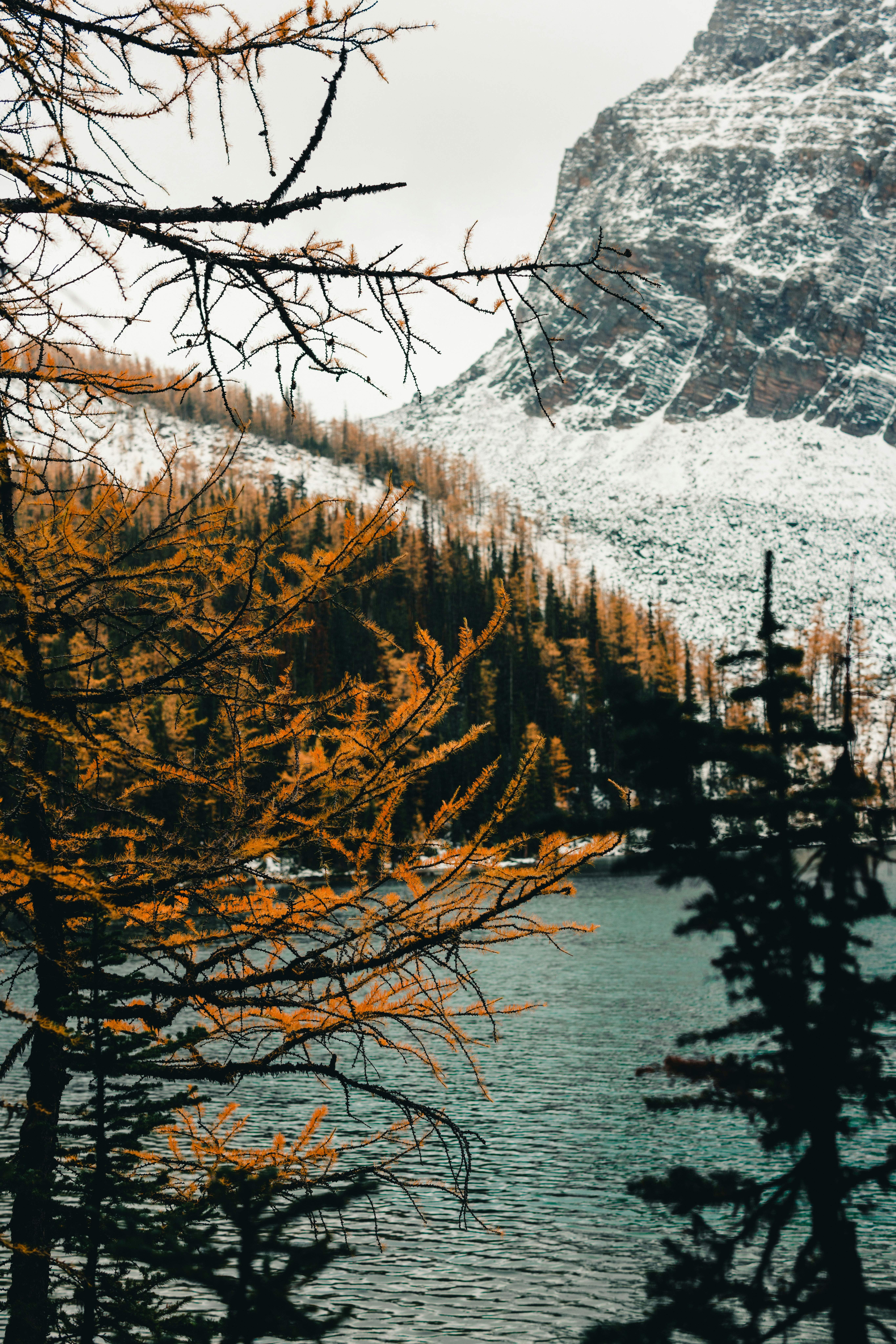 Photo by lureofadventure